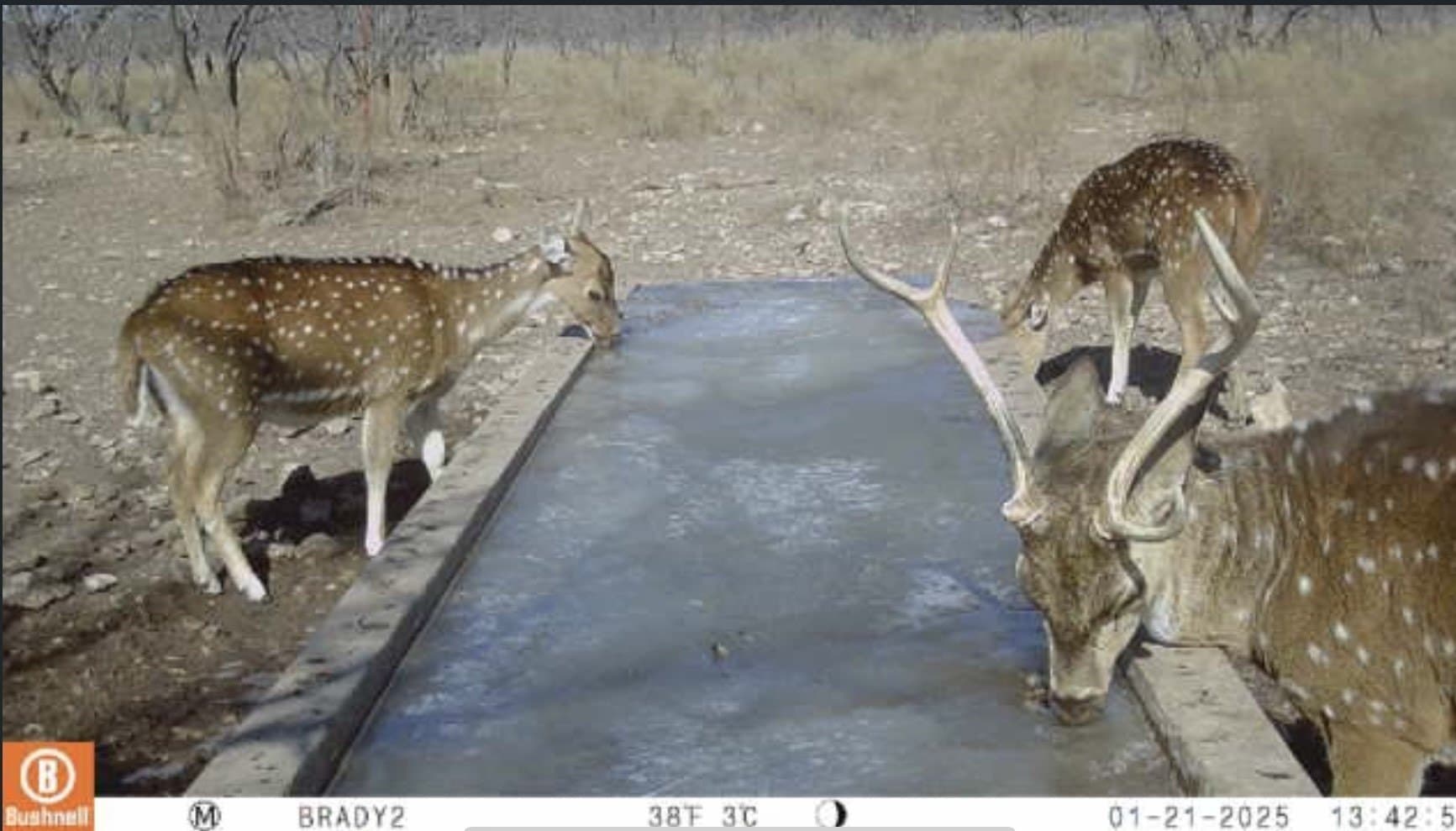 100.1 acres in McCulloch County - photo 4