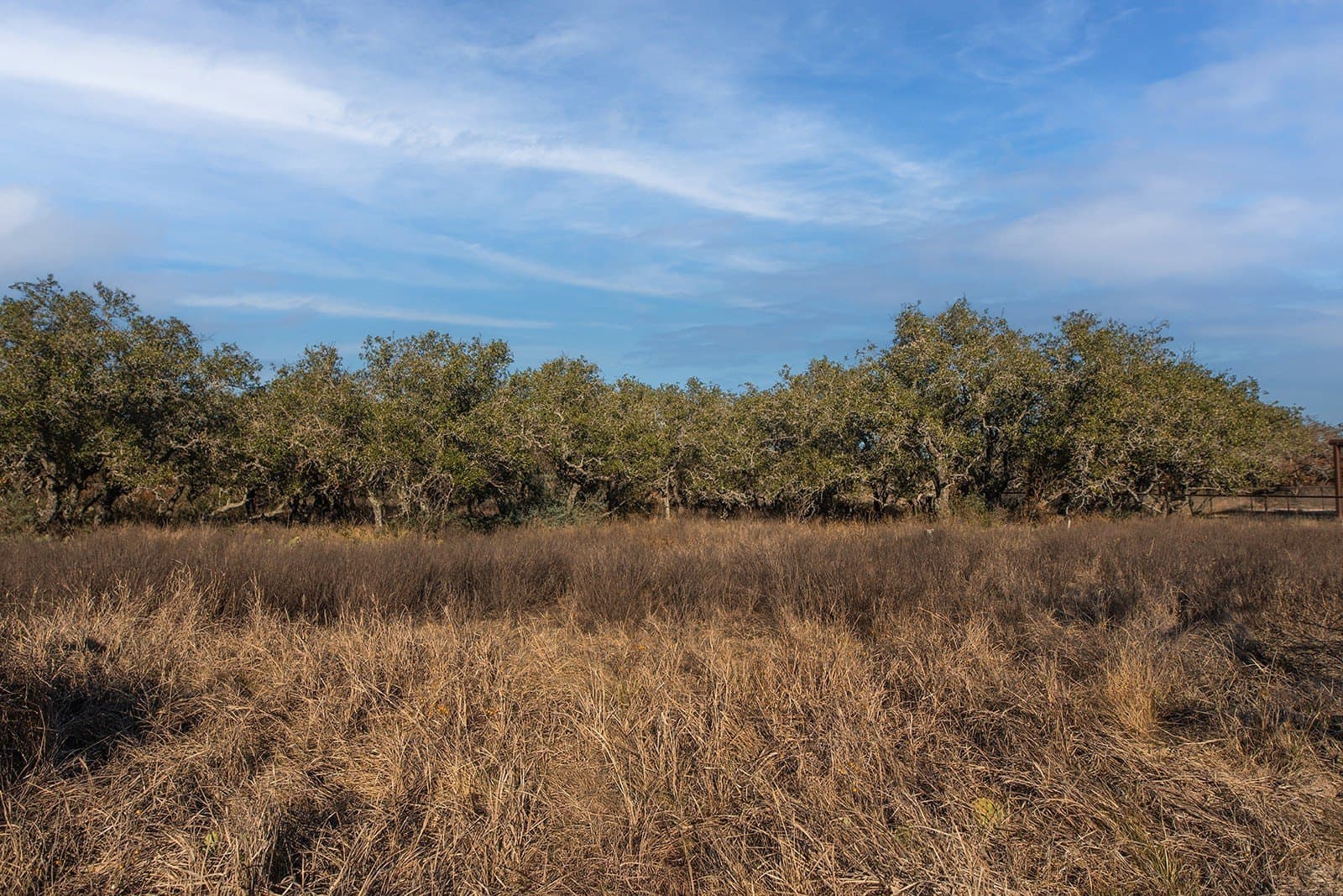 100.1 acres in McCulloch County - photo 37
