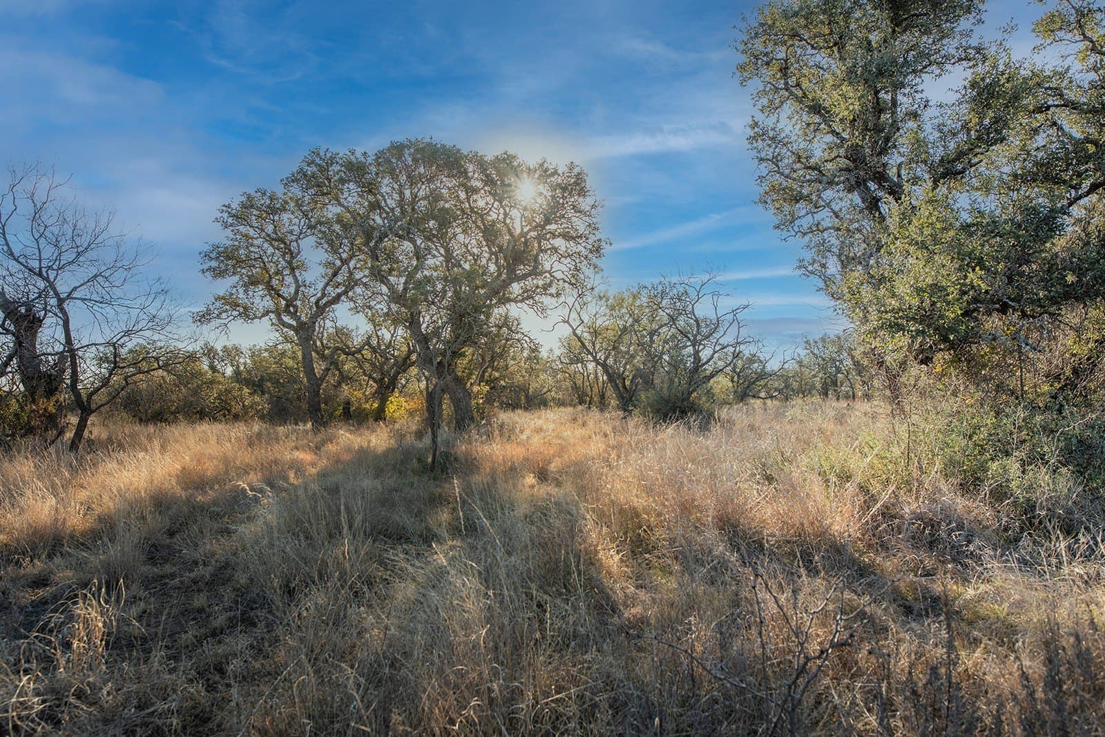 100.1 acres in McCulloch County - photo 35