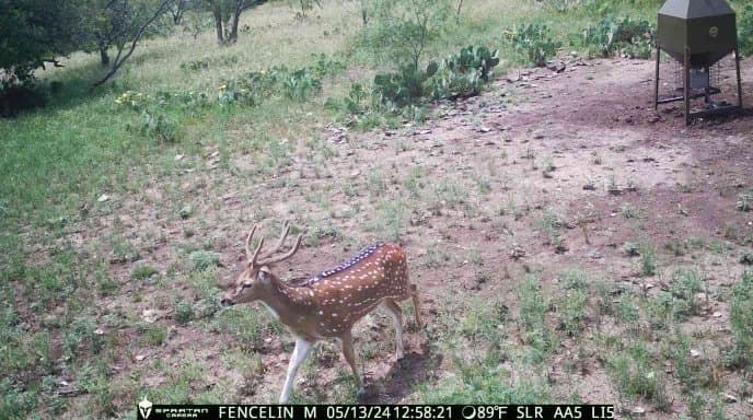 100.1 acres in McCulloch County - photo 2
