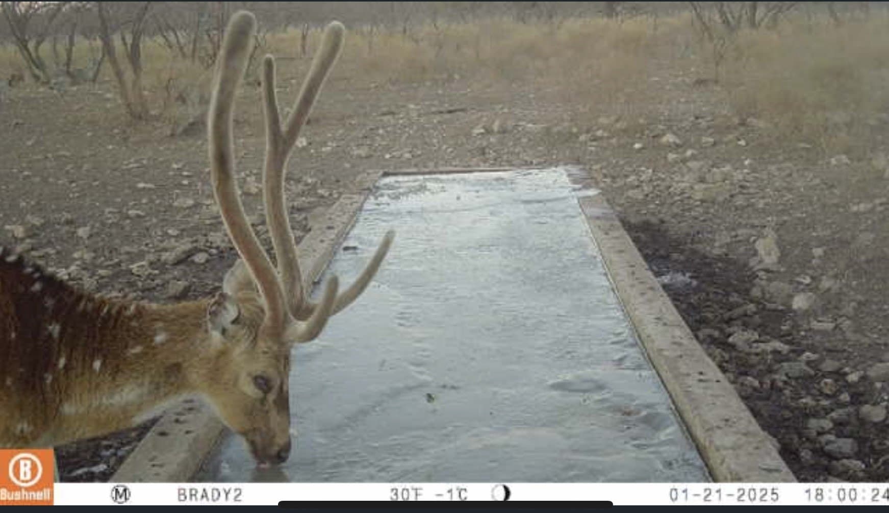 100.1 acres in McCulloch County - photo 3
