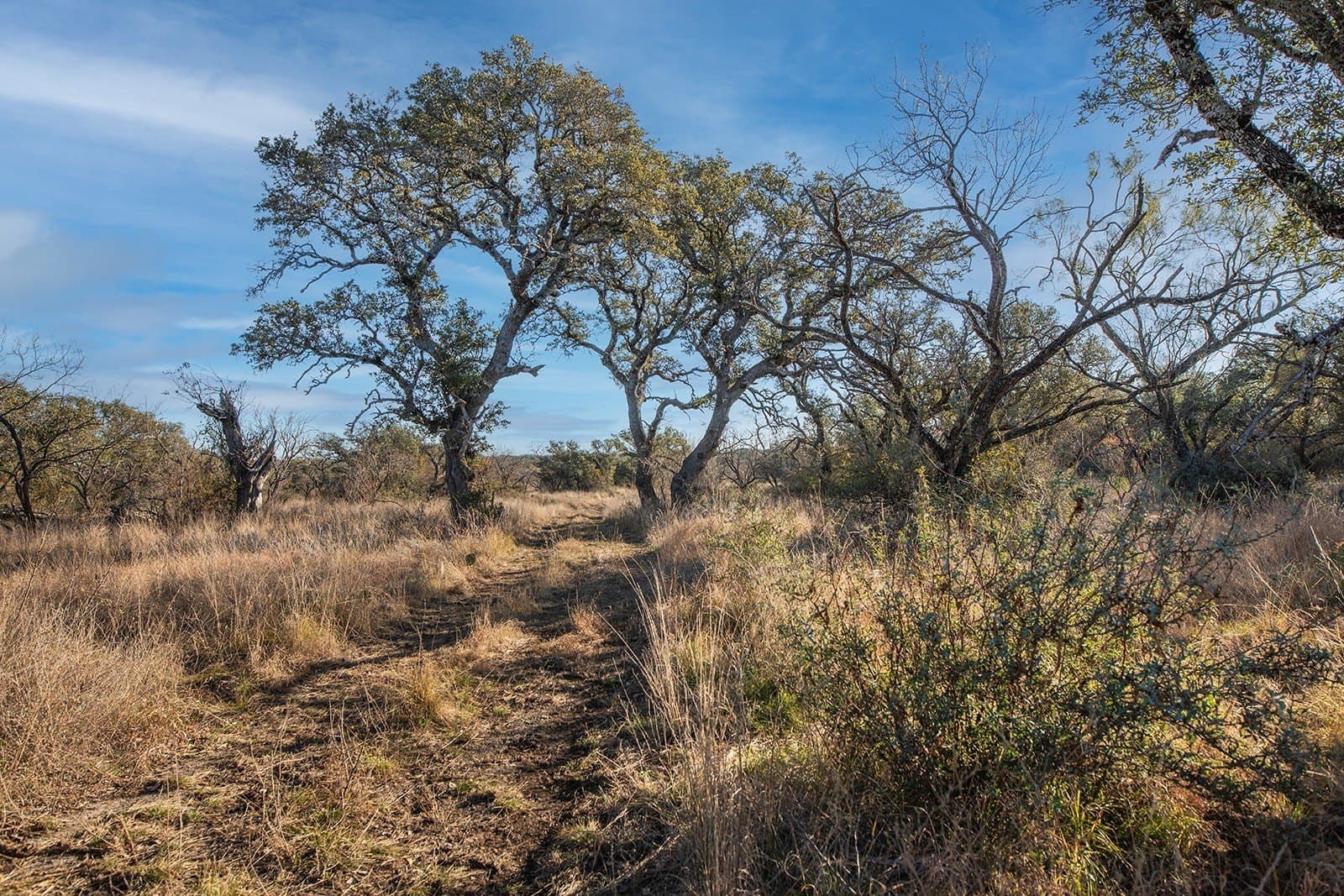 100.1 acres in McCulloch County - photo 36