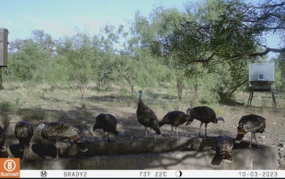100.1 acres in McCulloch County - photo 6