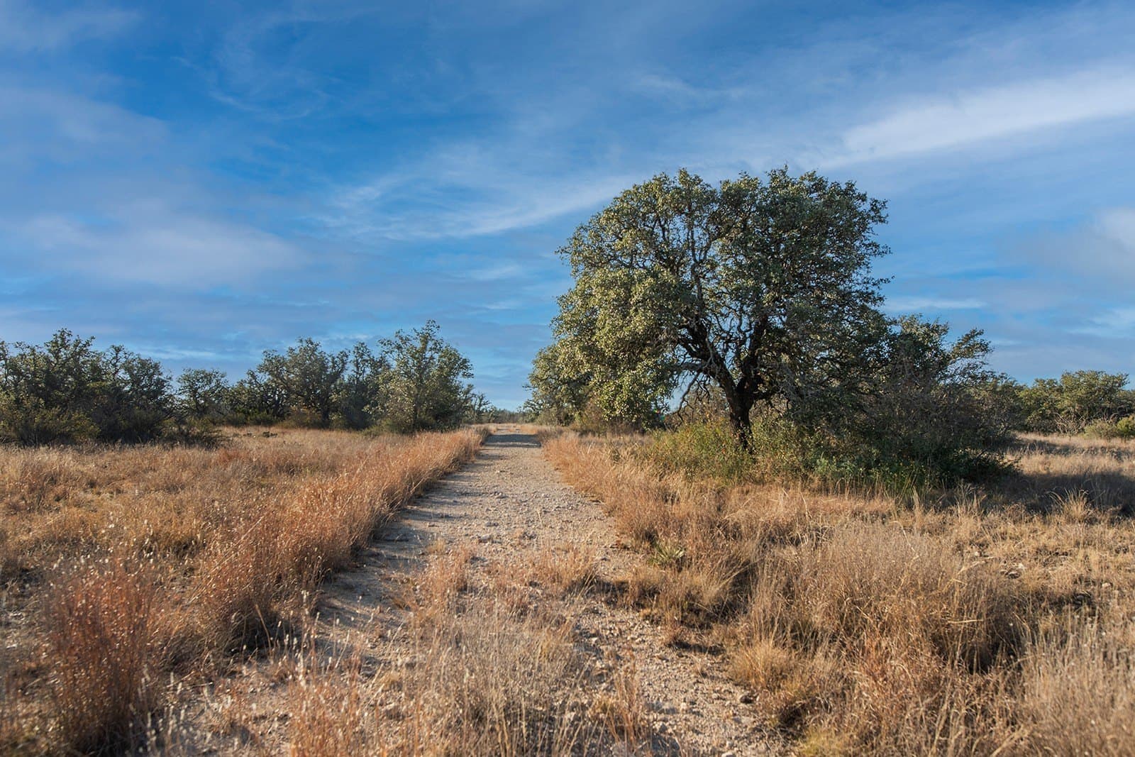 100.1 acres in McCulloch County - photo 29