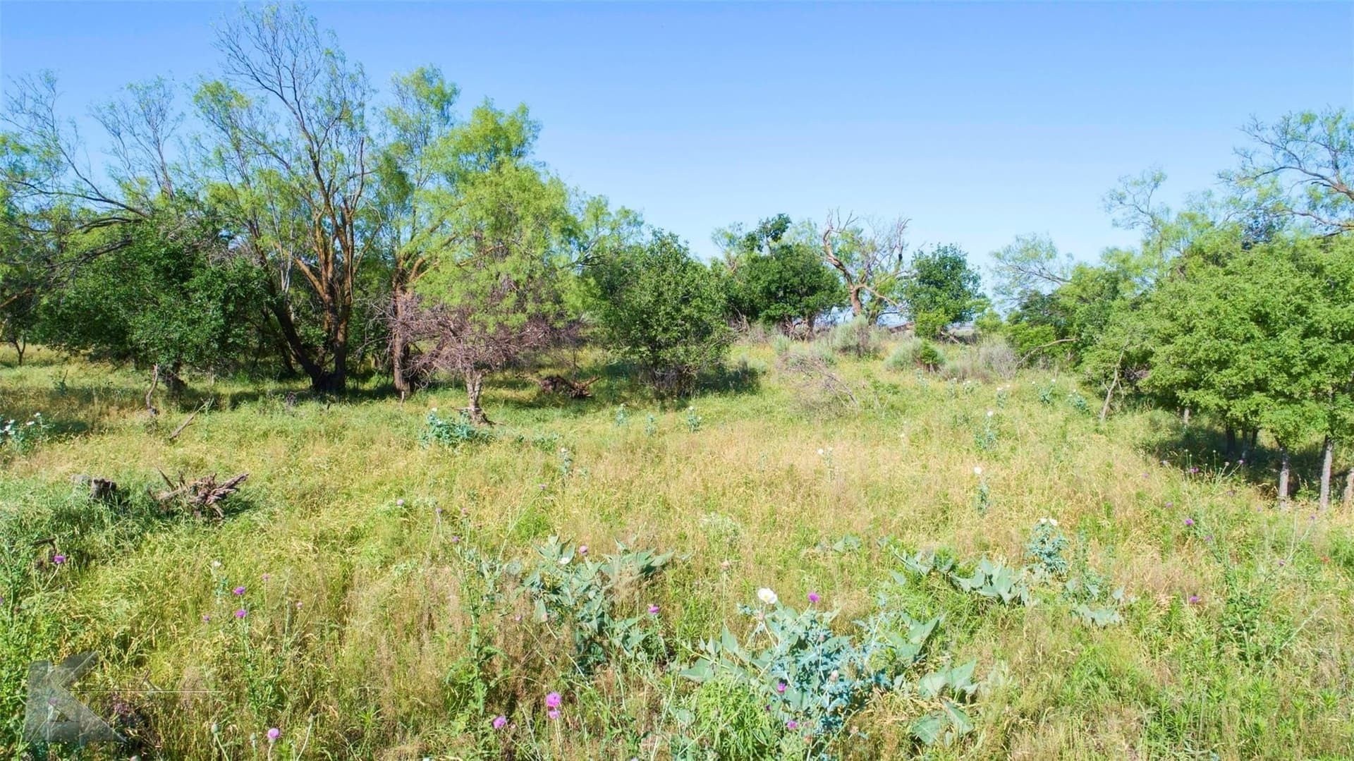 65.45 acres in Haskell County - photo 21