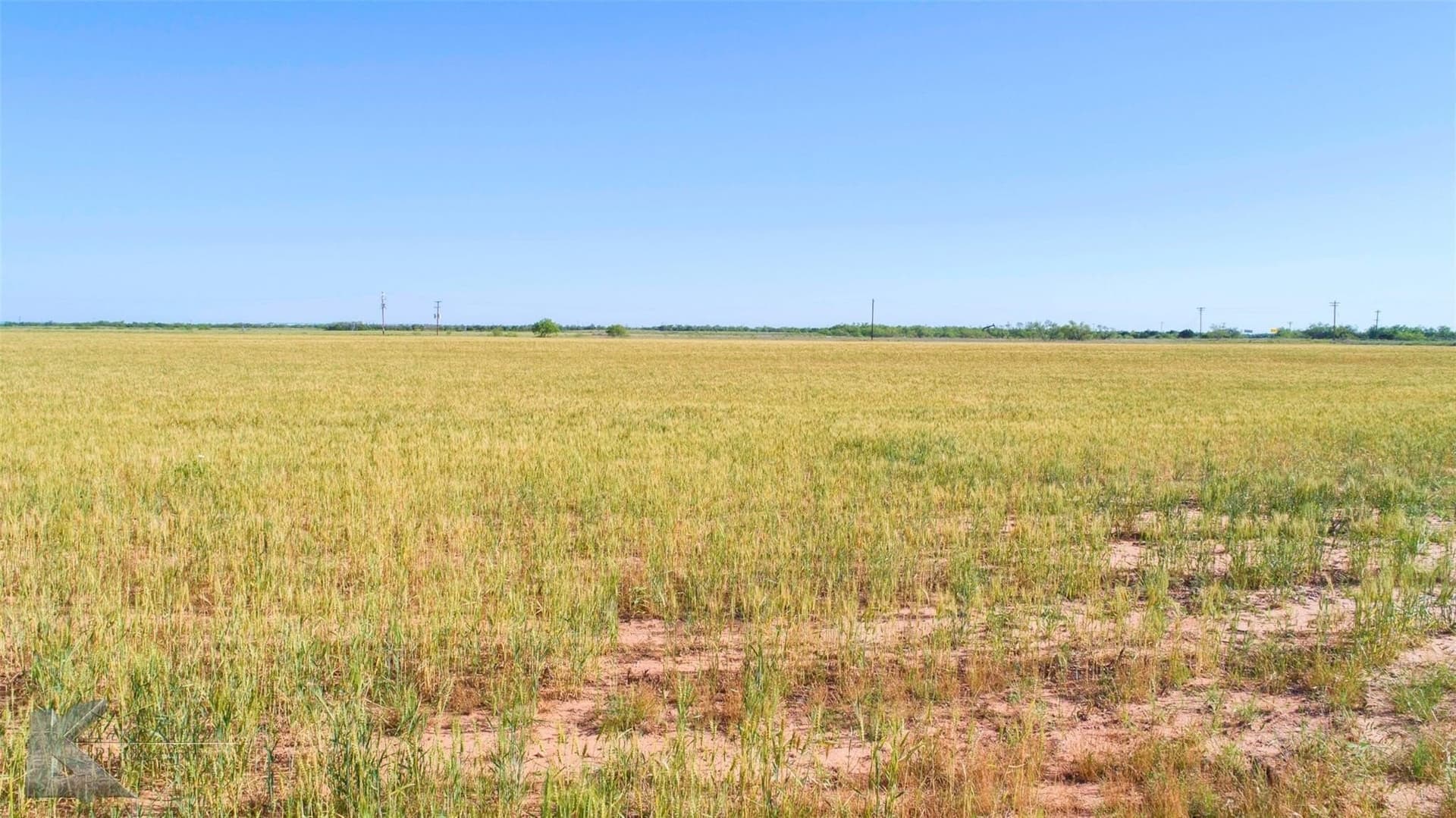 65.45 acres in Haskell County - photo 18