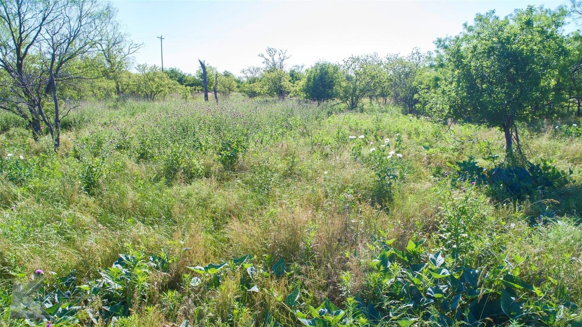 65.45 acres in Haskell County - photo 19