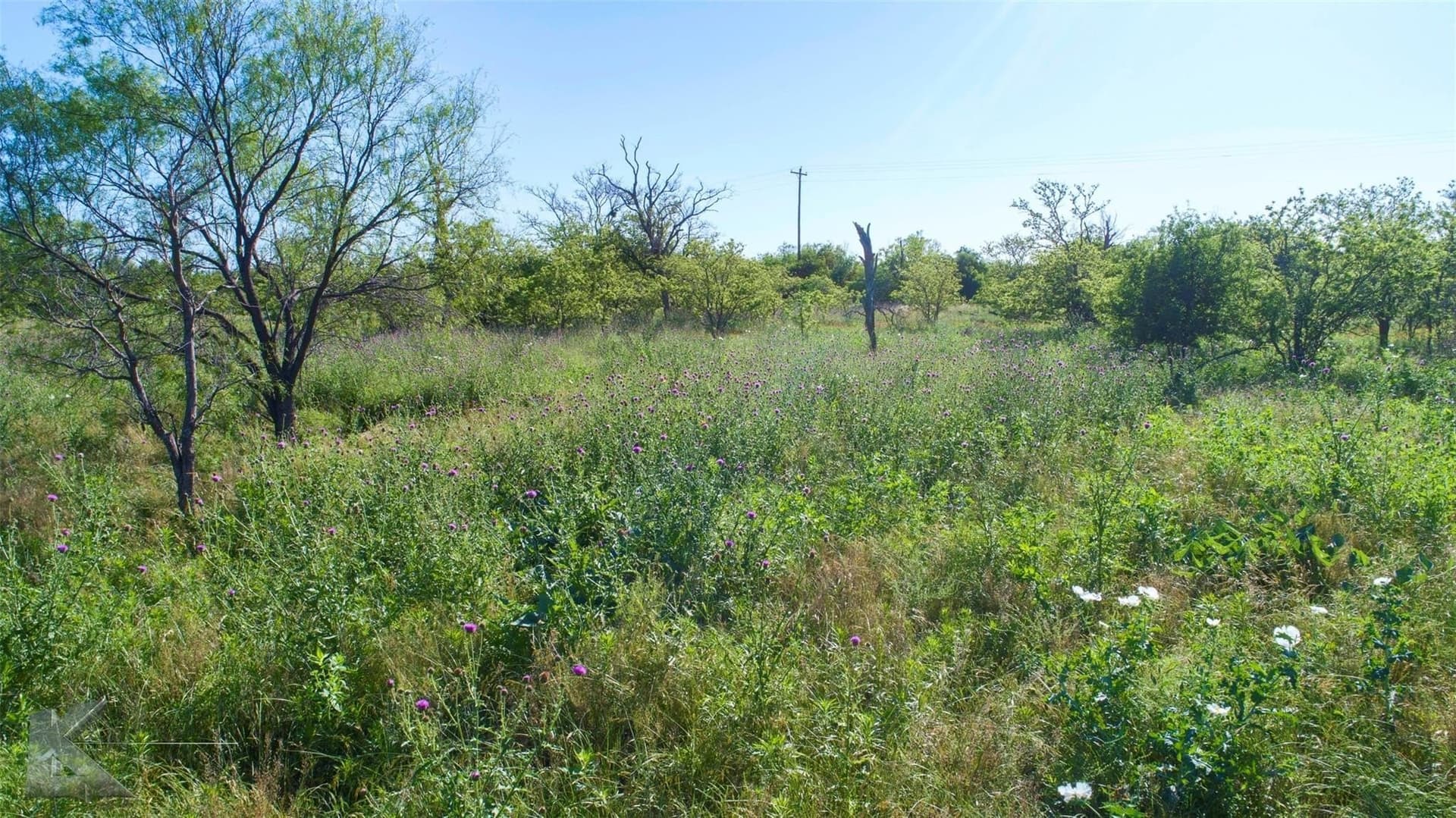 65.45 acres in Haskell County - photo 20
