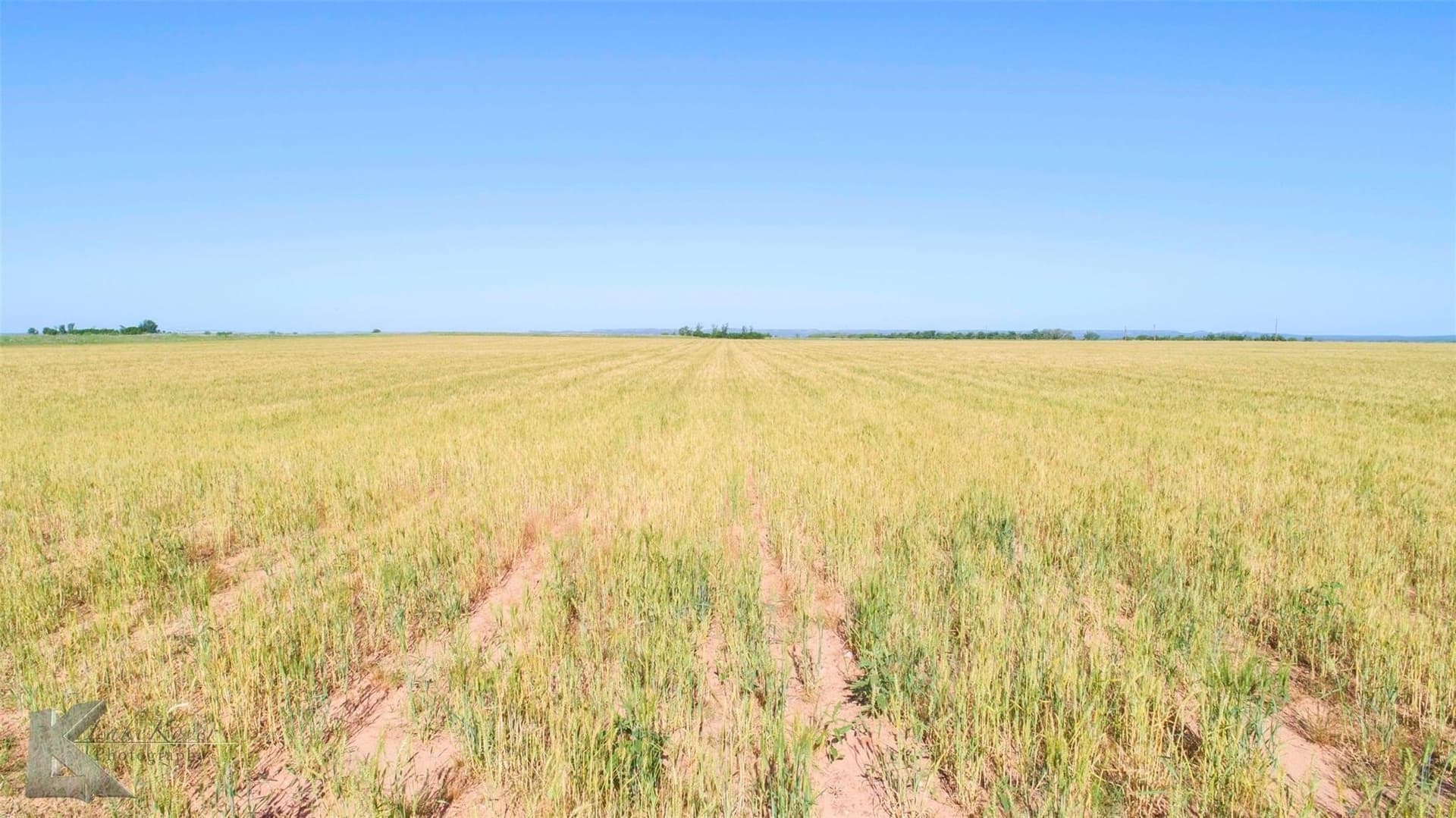 65.45 acres in Haskell County - photo 17