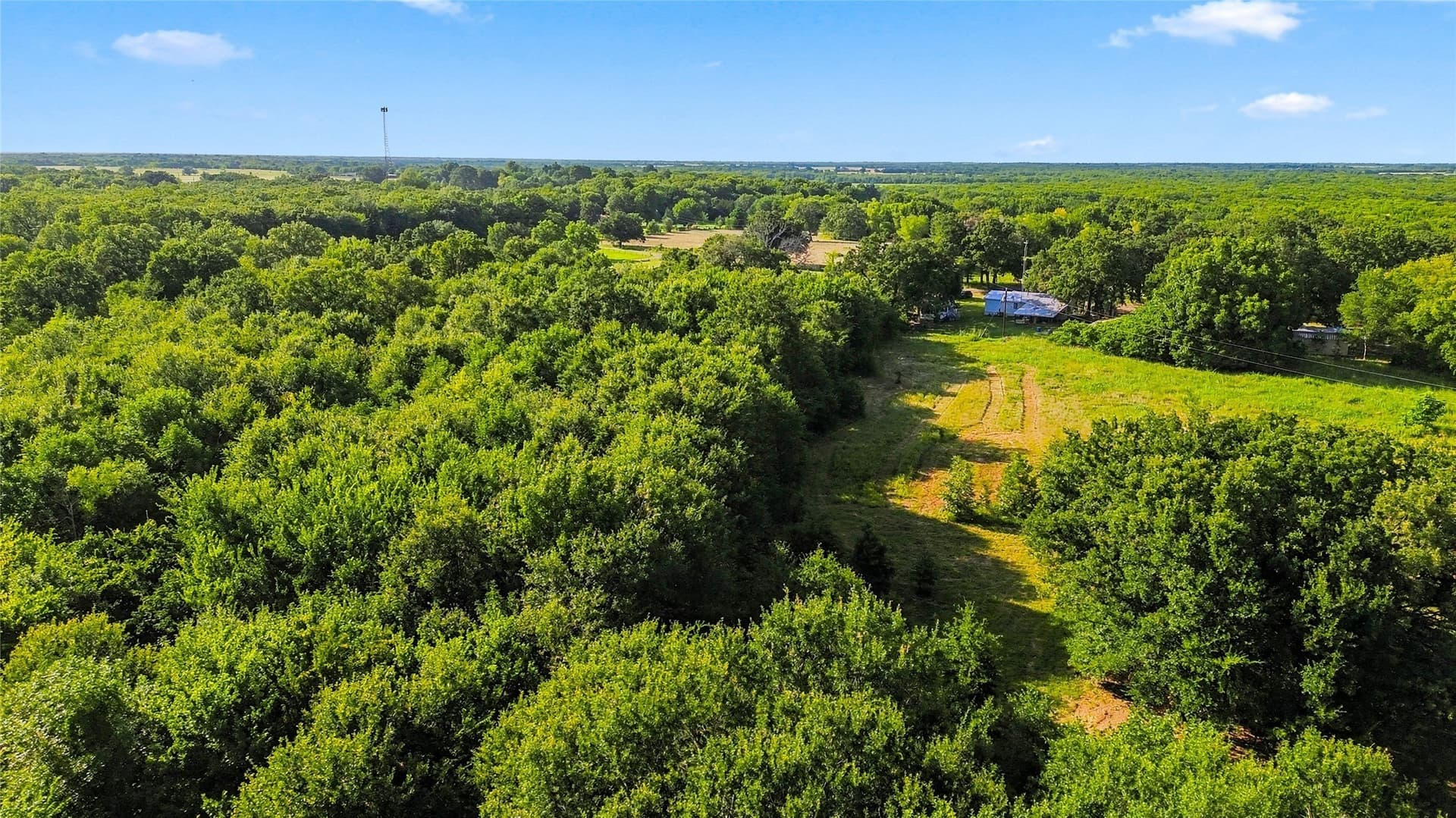34 acres in Delta County - photo 25
