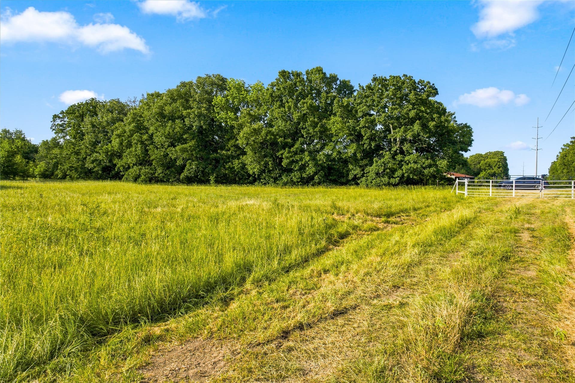 34 acres in Delta County - photo 12