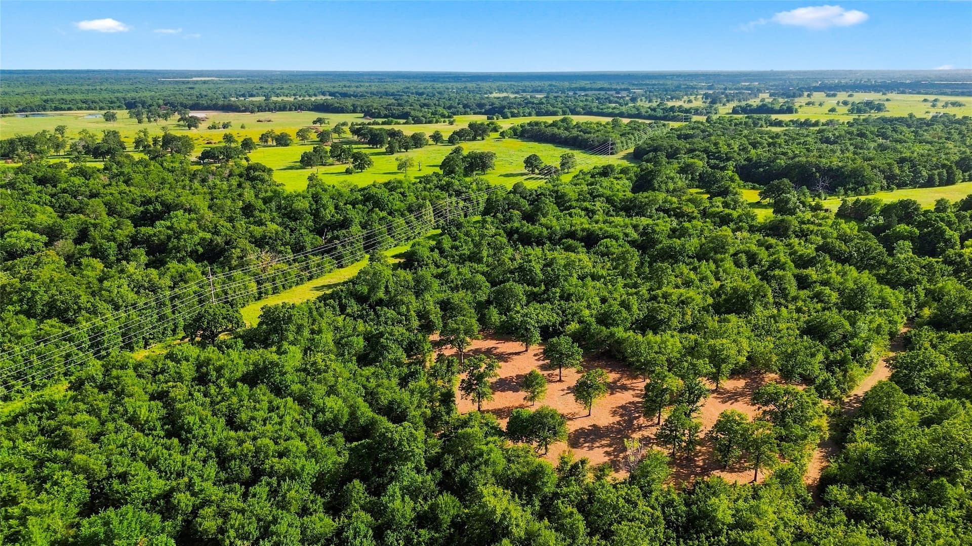 34 acres in Delta County - photo 16