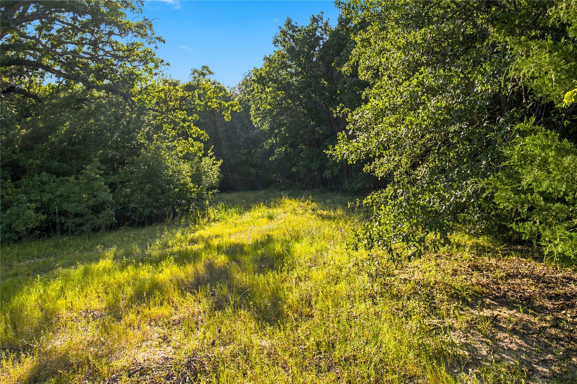 34 acres in Delta County - photo 32