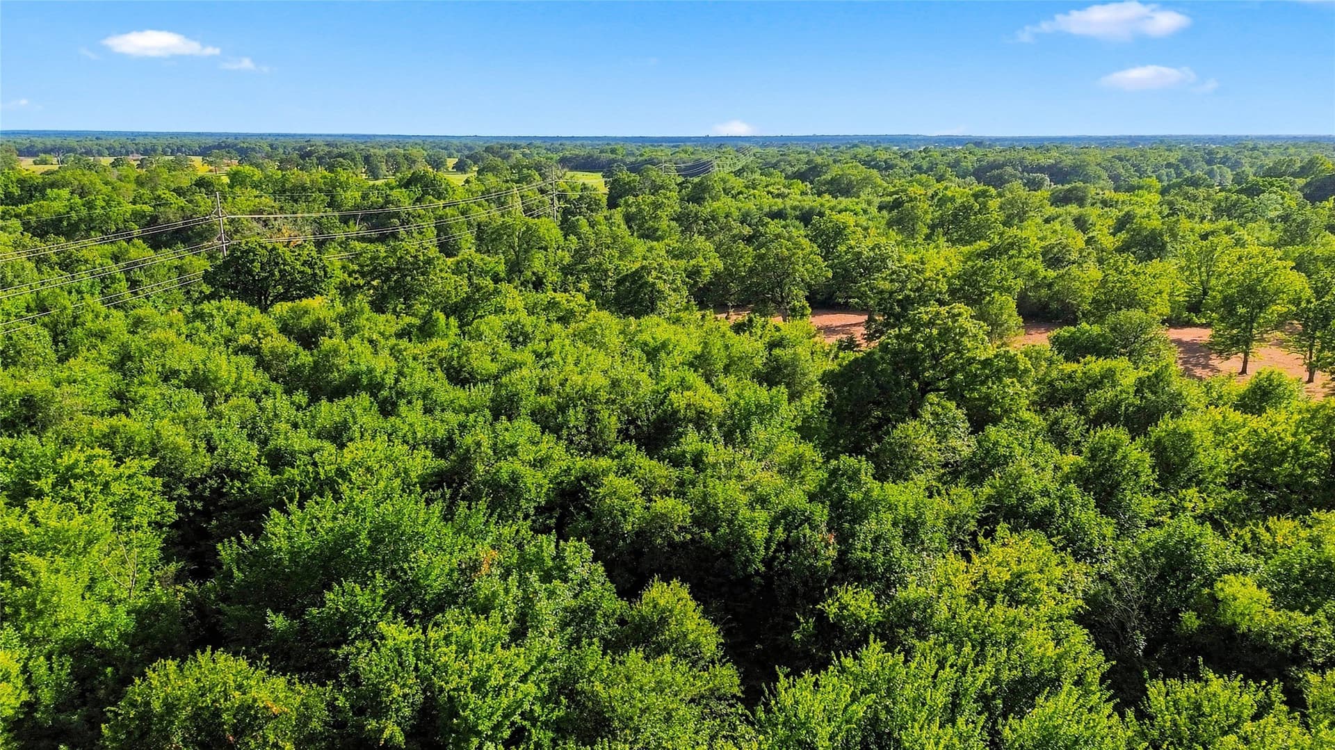 34 acres in Delta County - photo 24