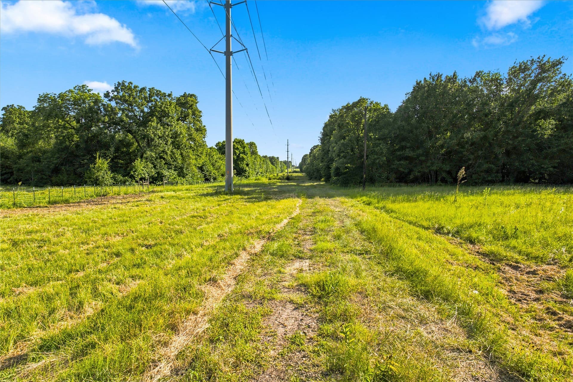 34 acres in Delta County - photo 30