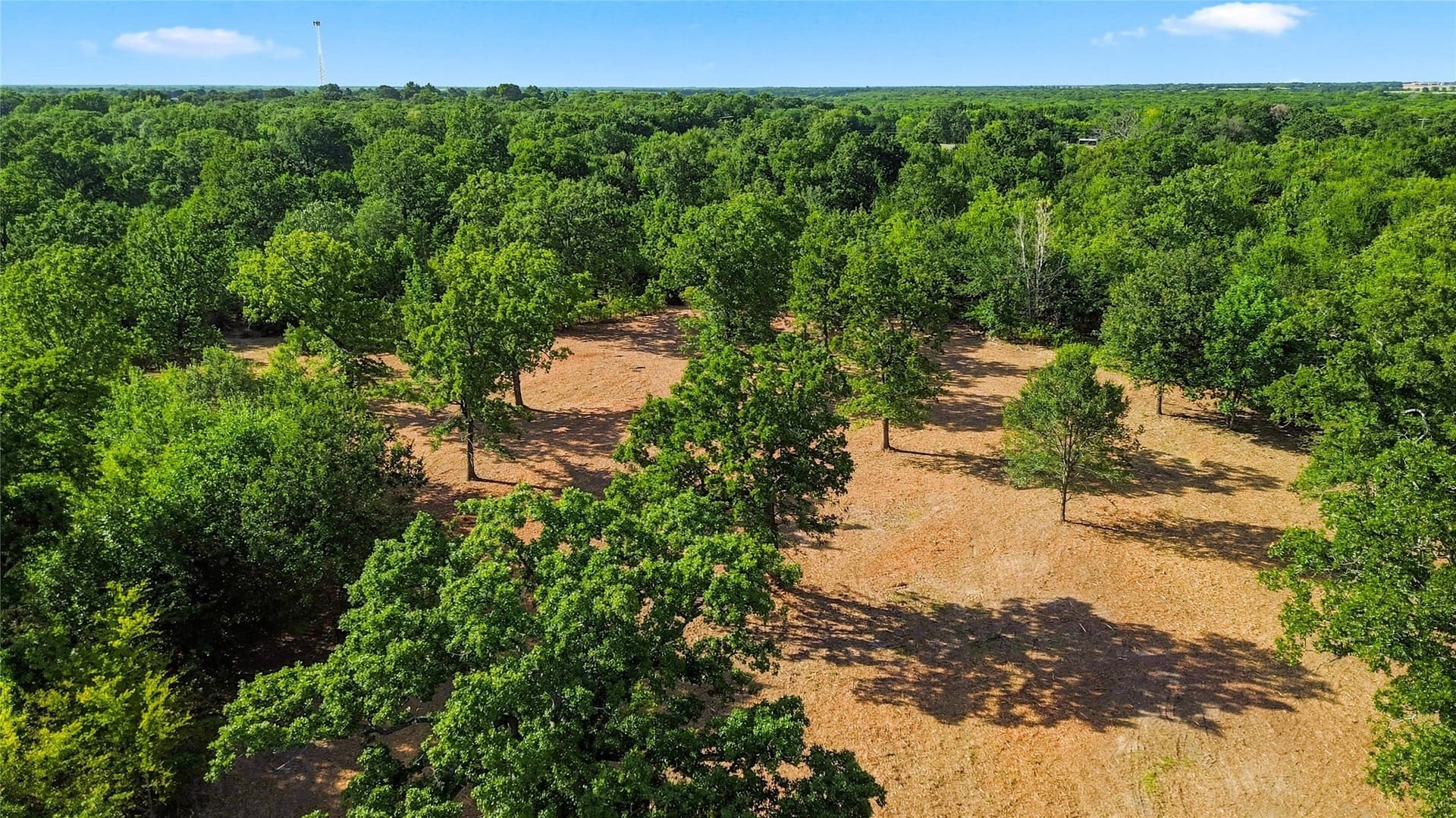 34 acres in Delta County - photo 7