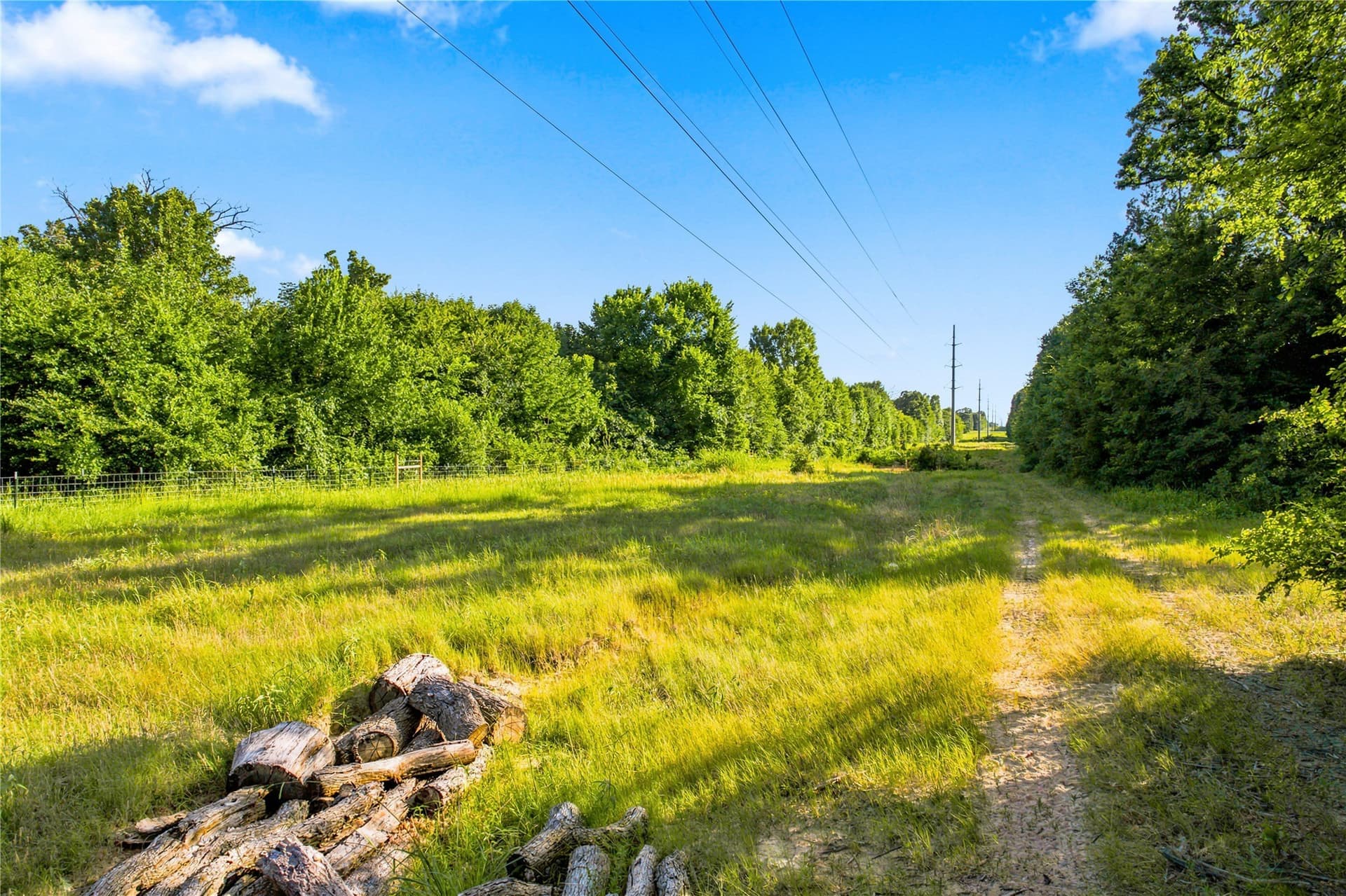34 acres in Delta County - photo 31
