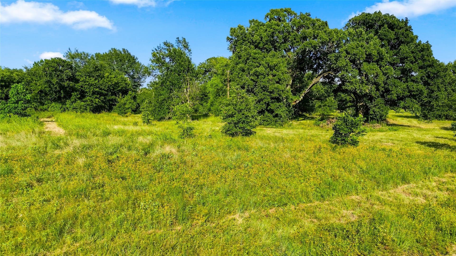 34 acres in Delta County - photo 23