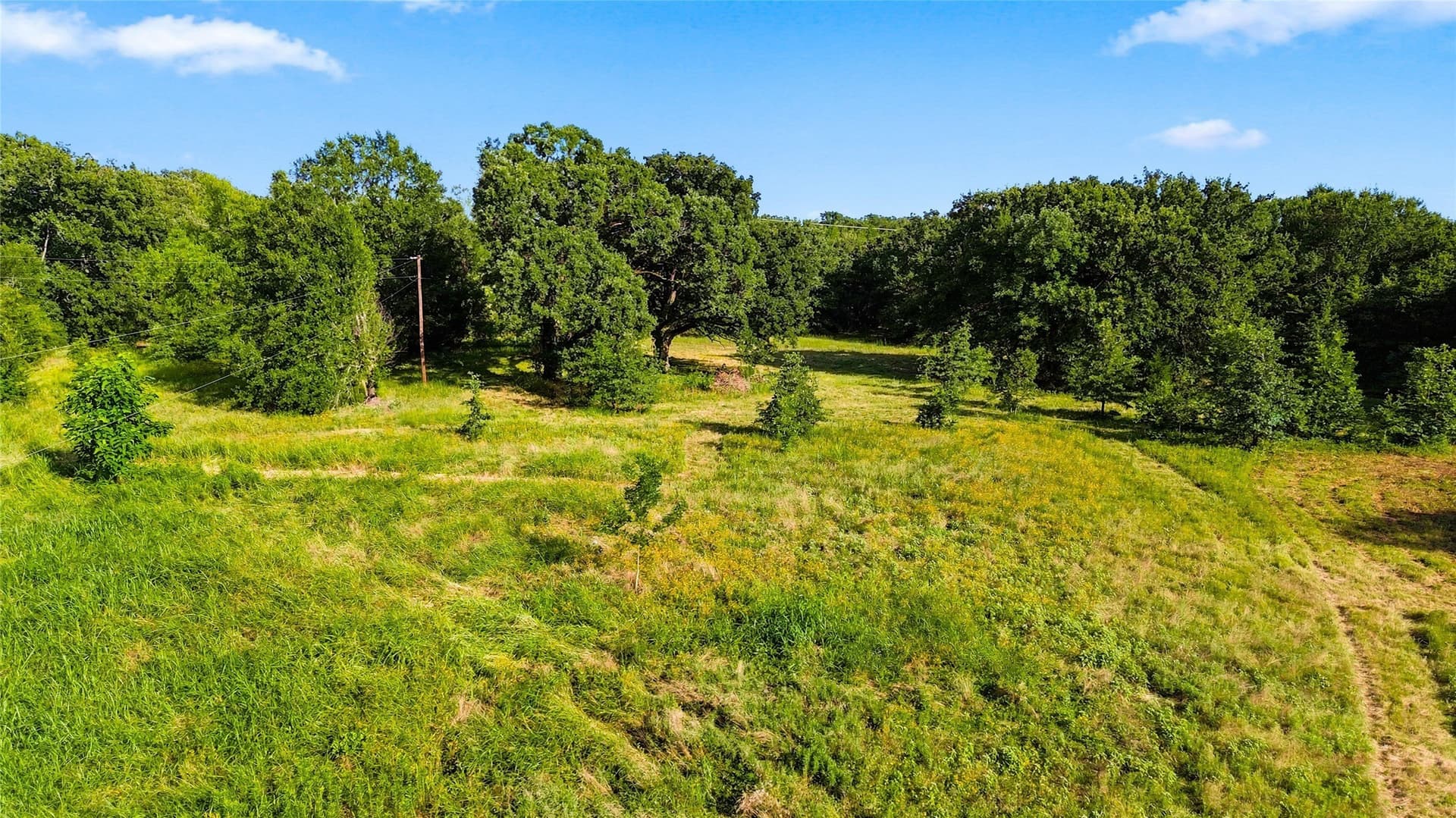 34 acres in Delta County - photo 22