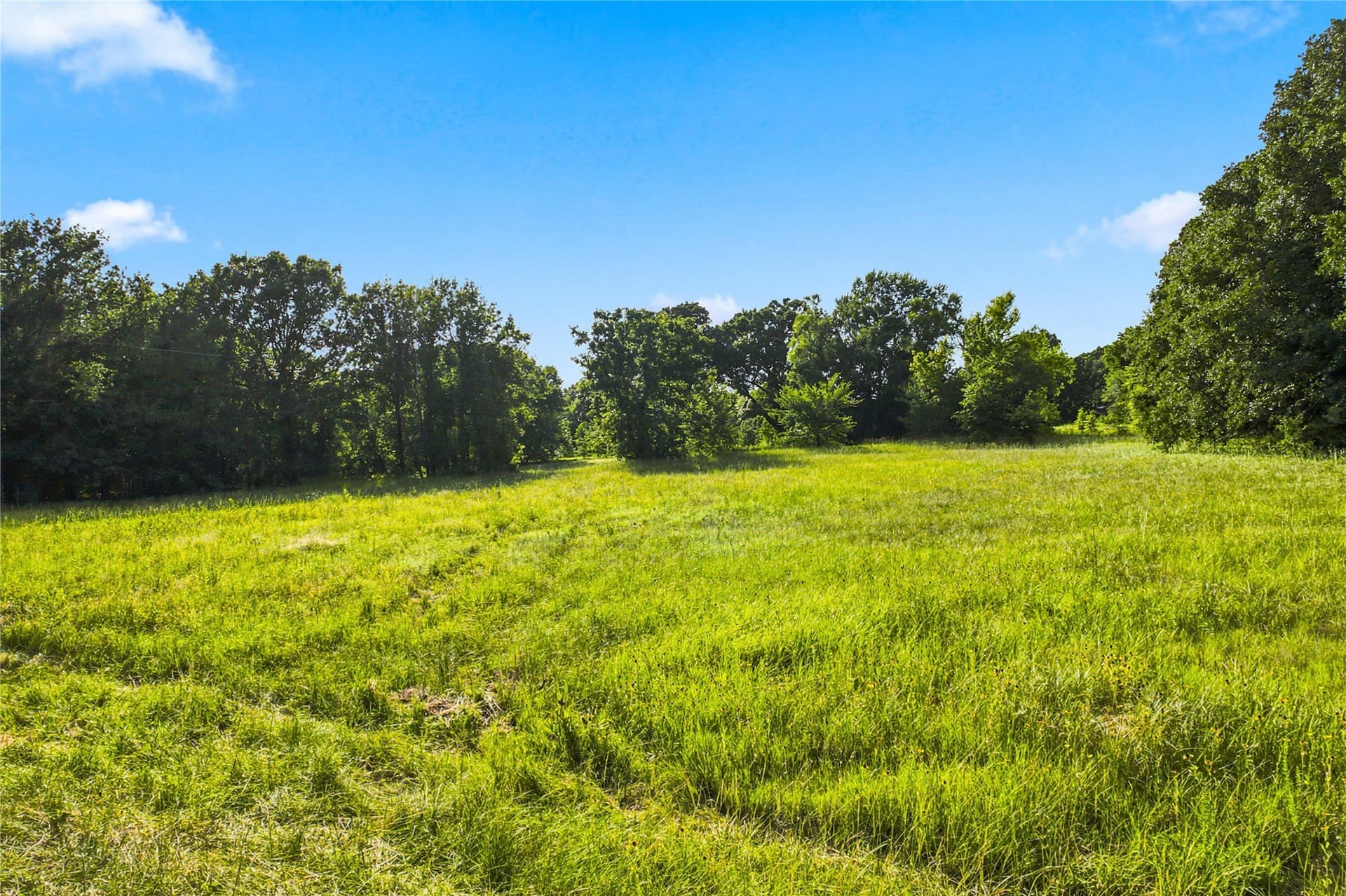 34 acres in Delta County - photo 29