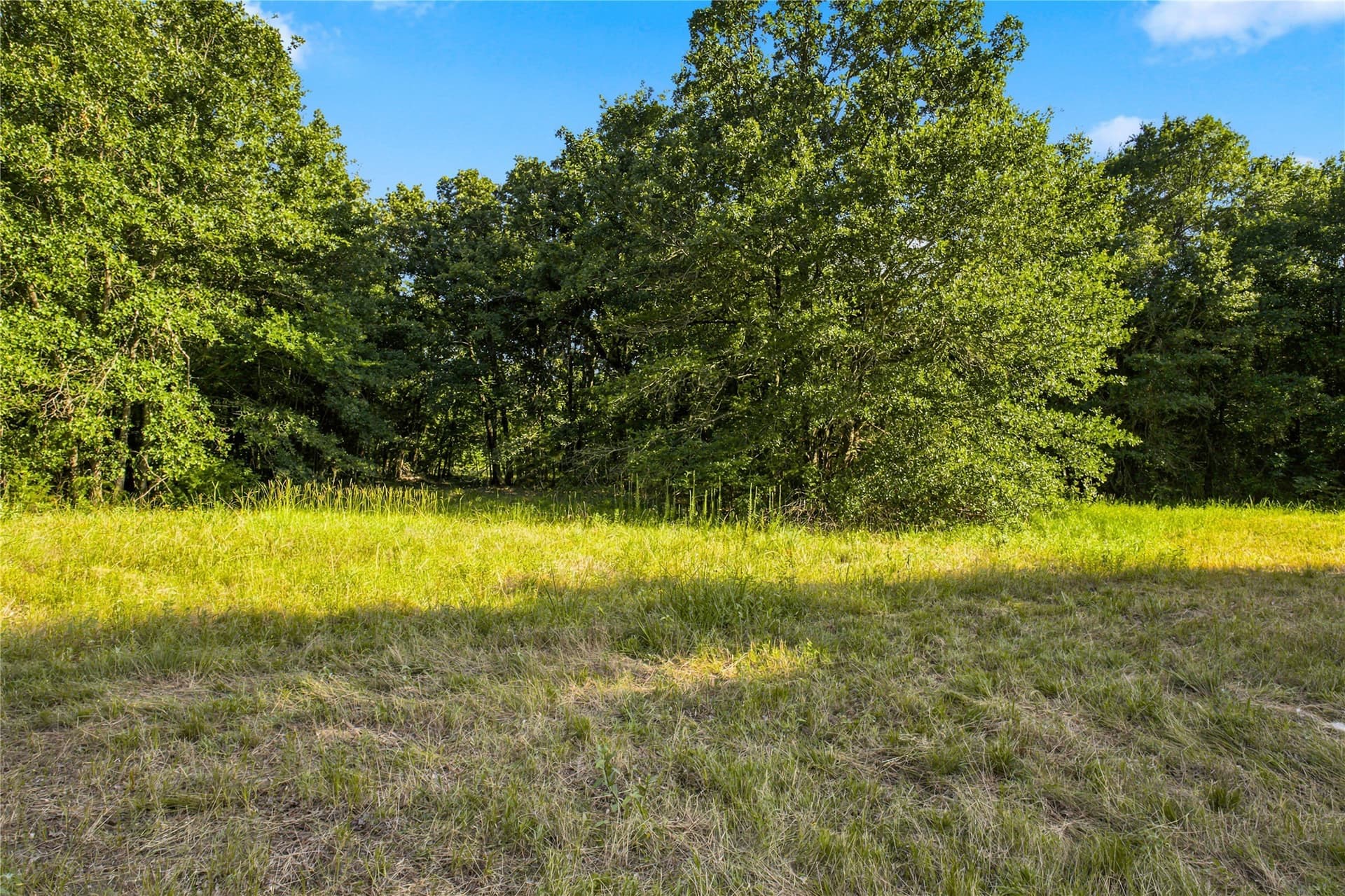 34 acres in Delta County - photo 6