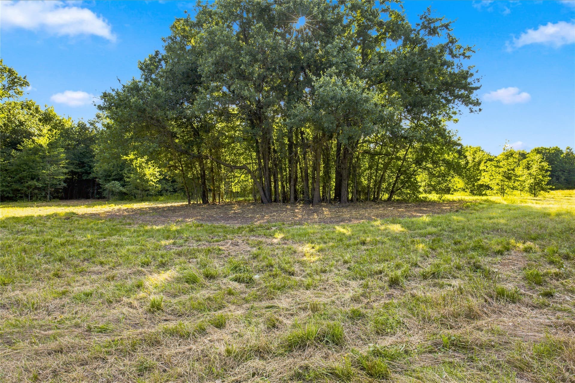 34 acres in Delta County - photo 34