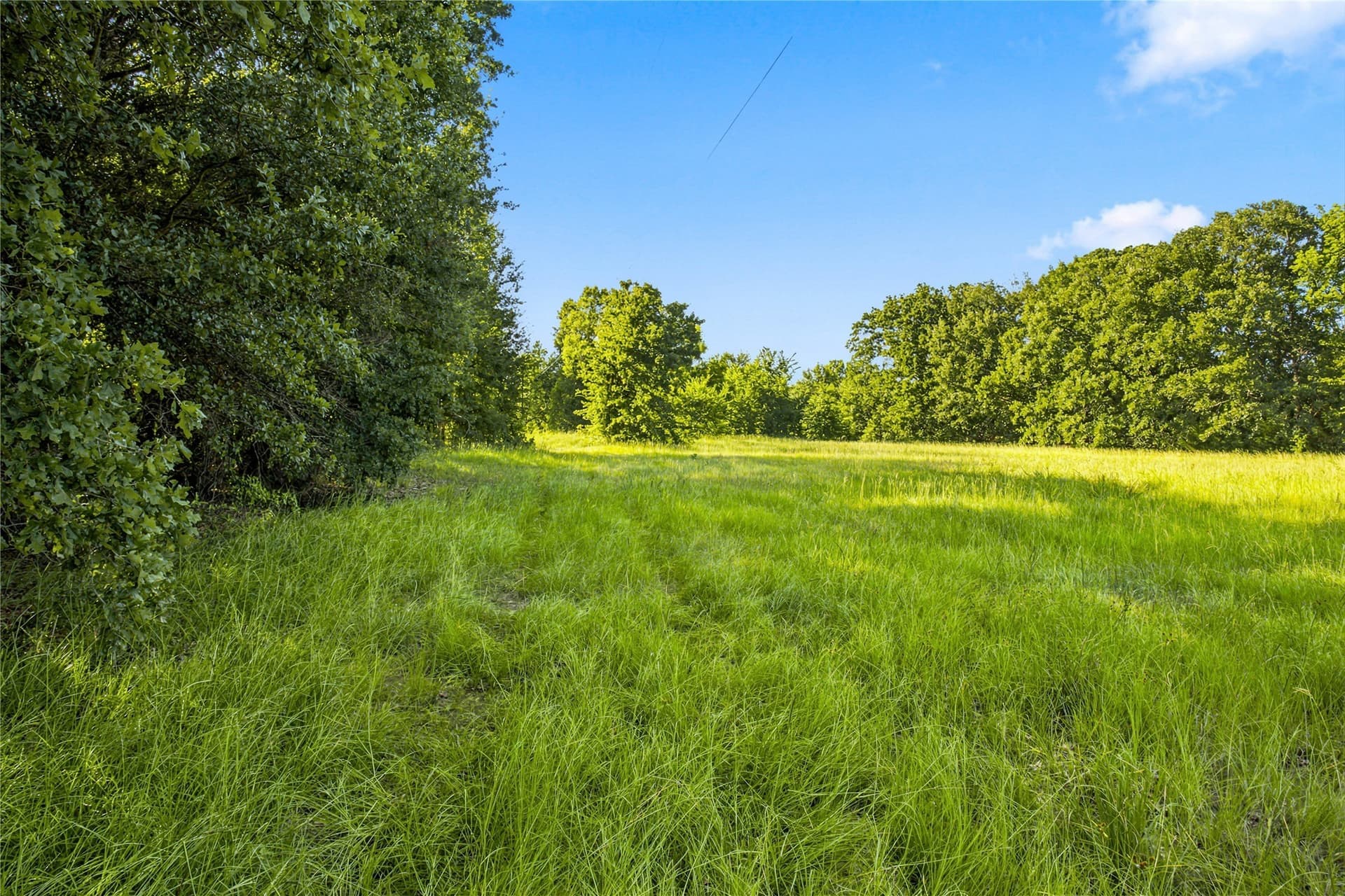 34 acres in Delta County - photo 33
