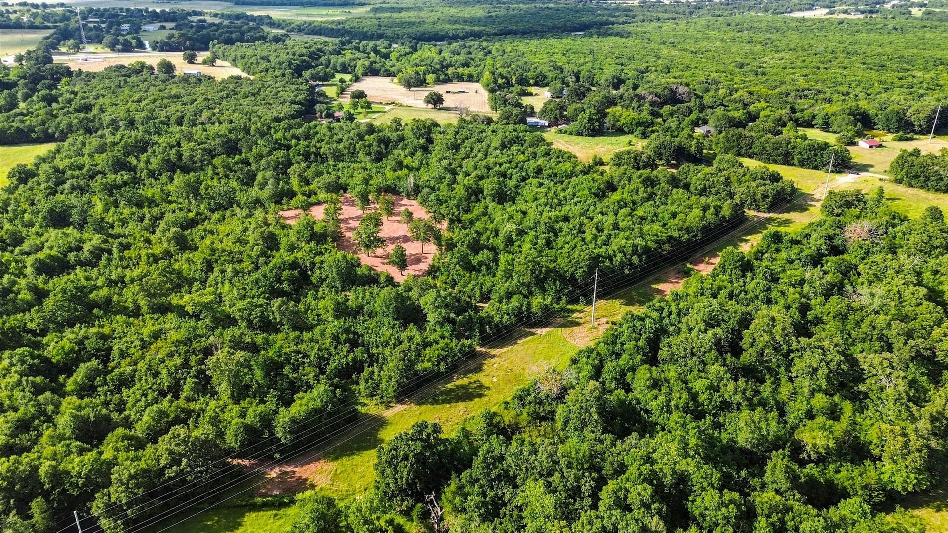 34 acres in Delta County - photo 9