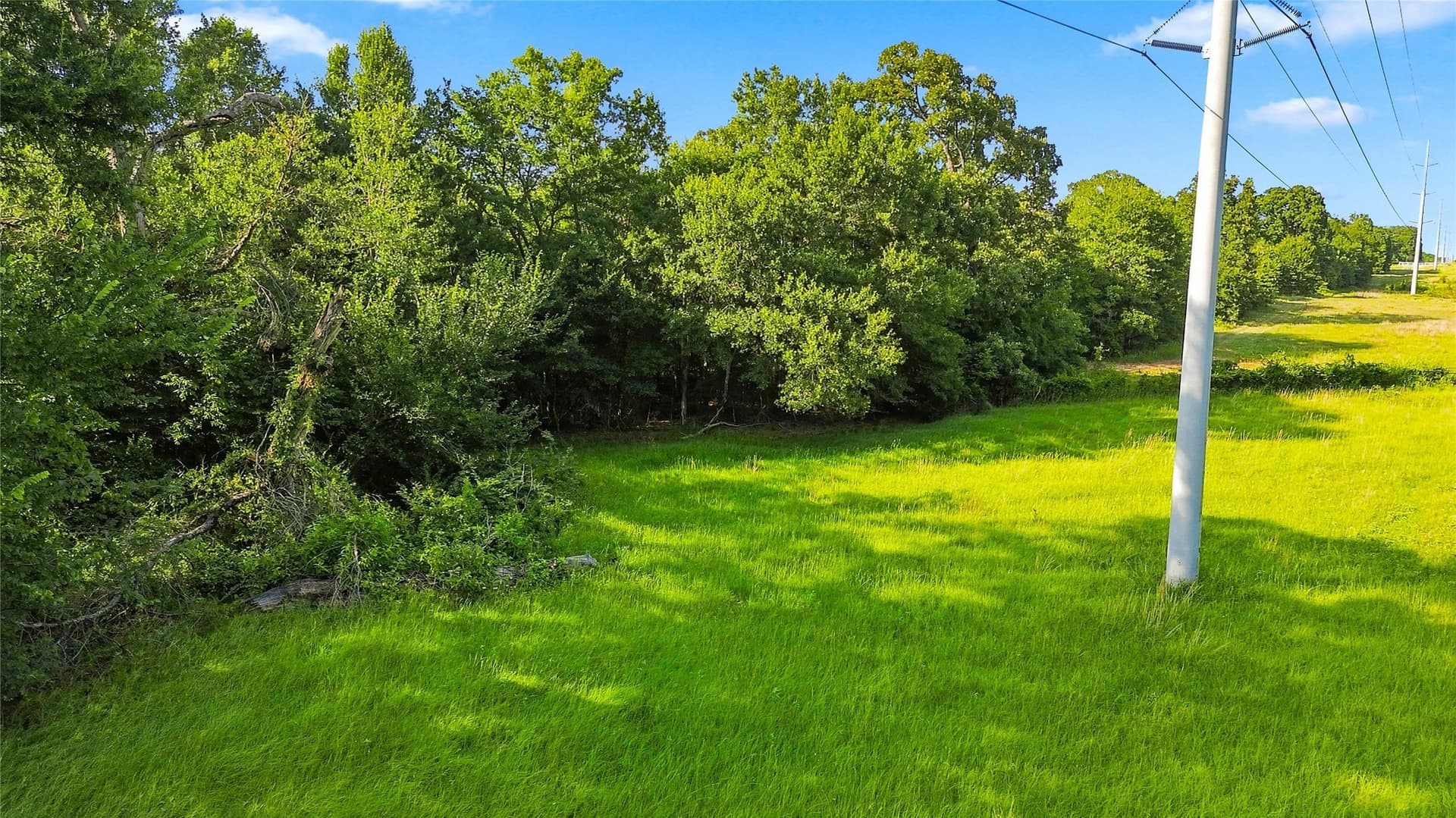 34 acres in Delta County - photo 13