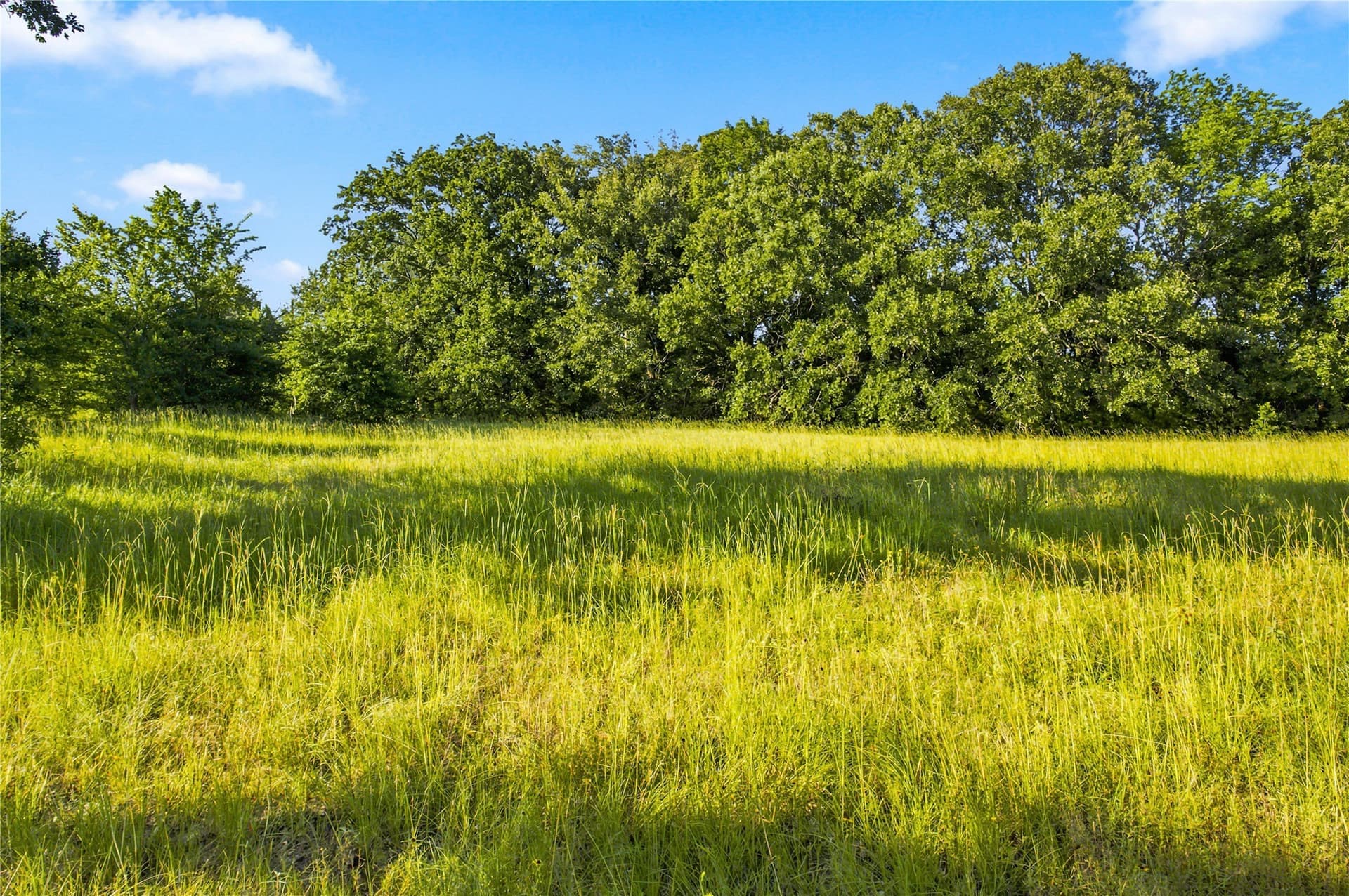 34 acres in Delta County gallery image 2
