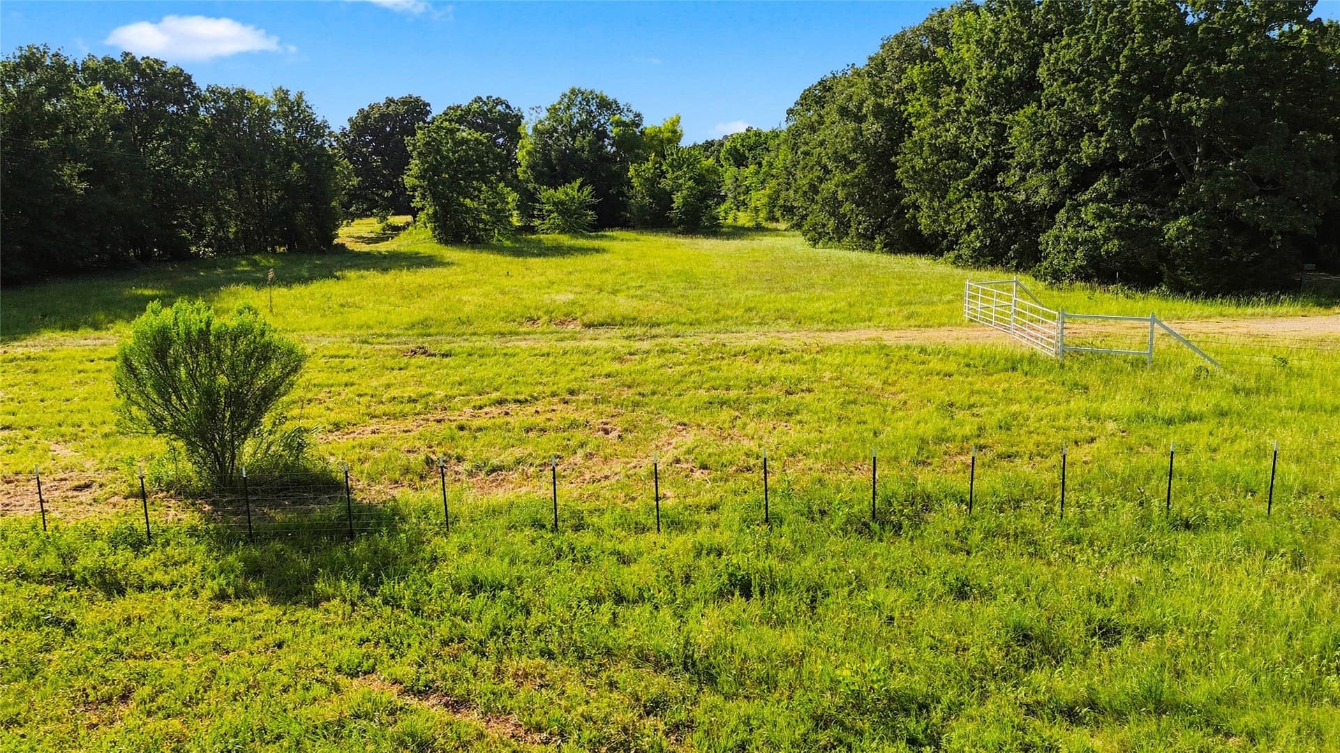 34 acres in Delta County featured view