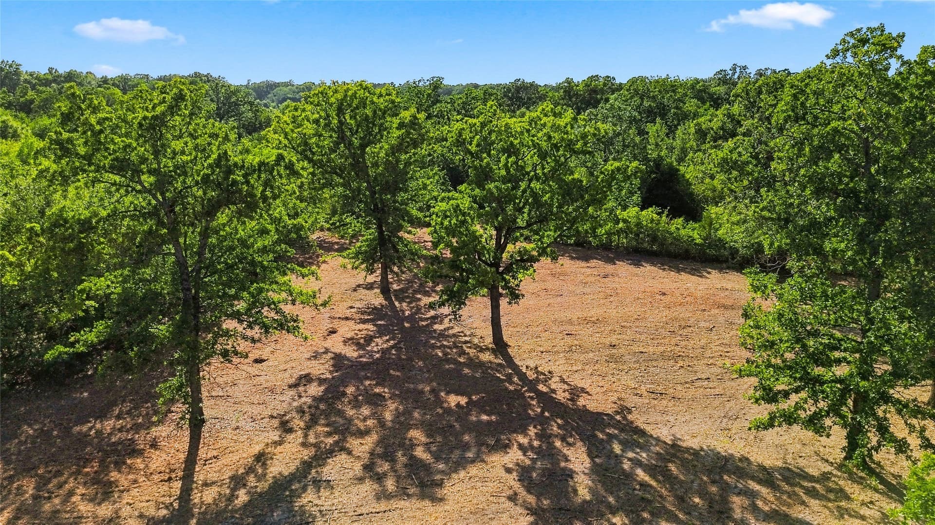 34 acres in Delta County - photo 14