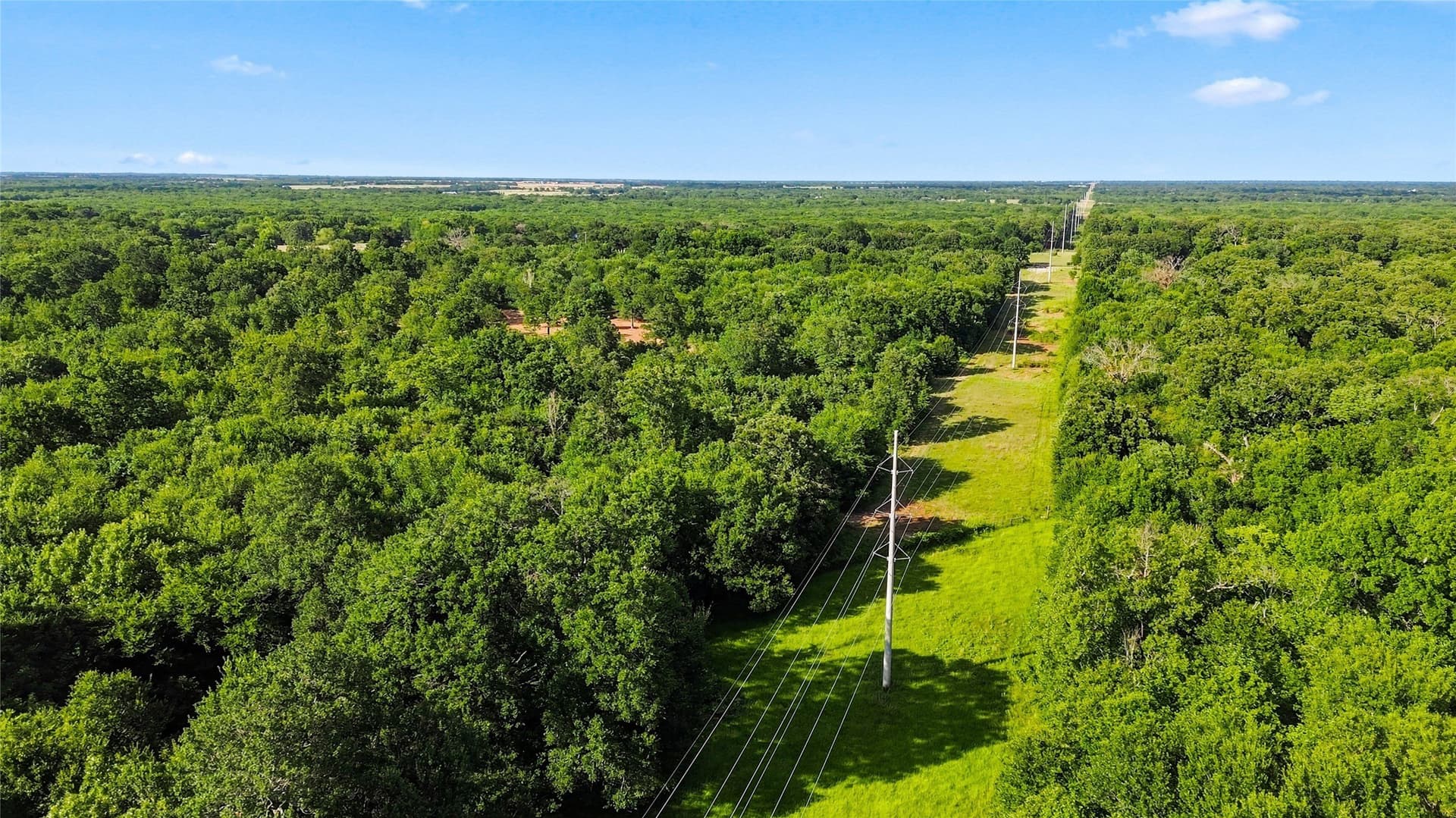 34 acres in Delta County - photo 11