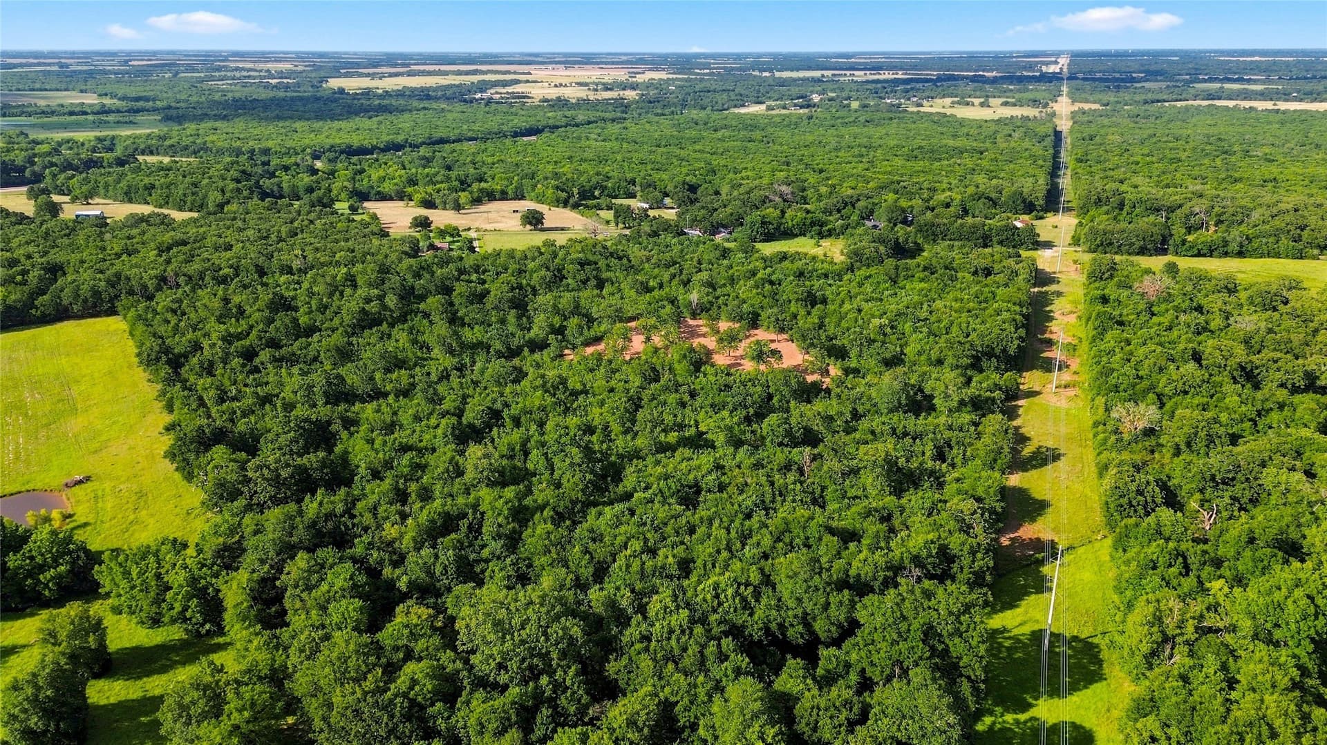 34 acres in Delta County - photo 10