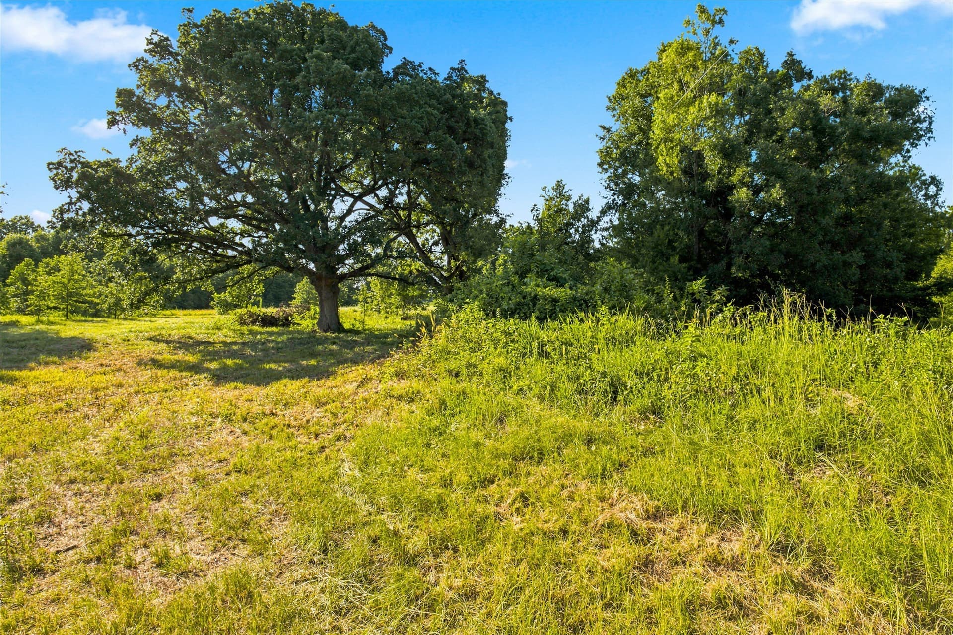 34 acres in Delta County gallery image 3