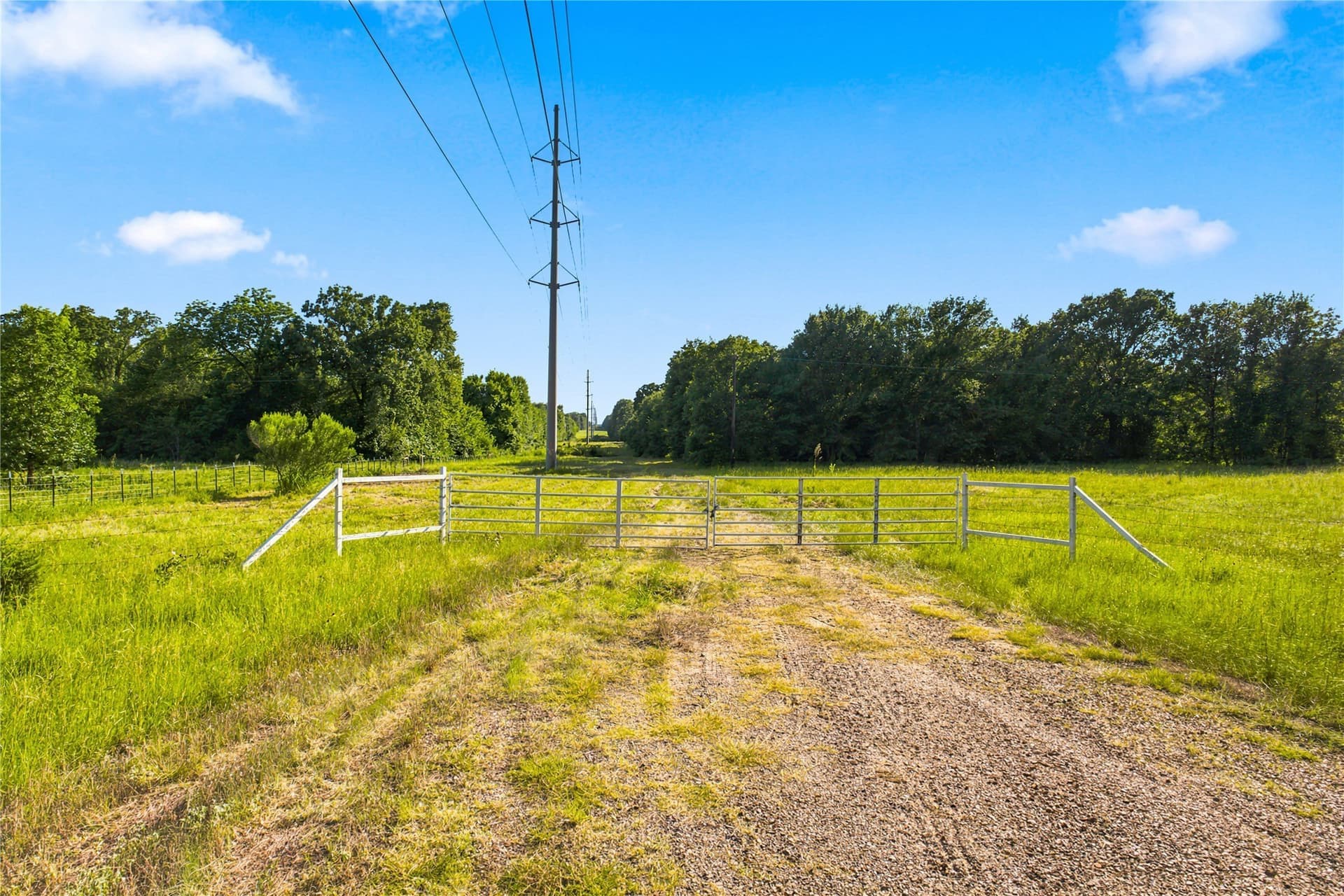 34 acres in Delta County - photo 28
