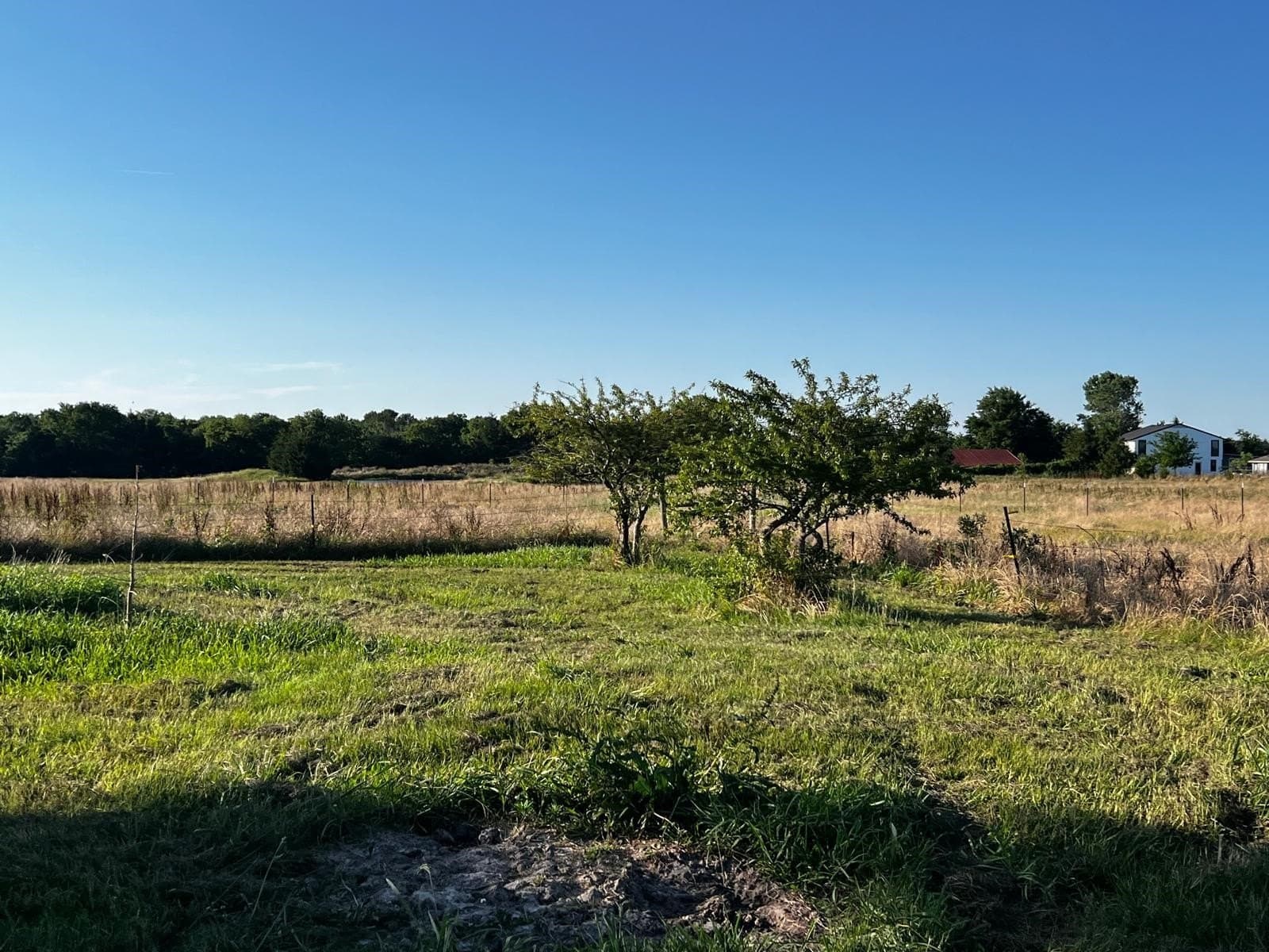 15.08 acres in Fannin County - photo 25
