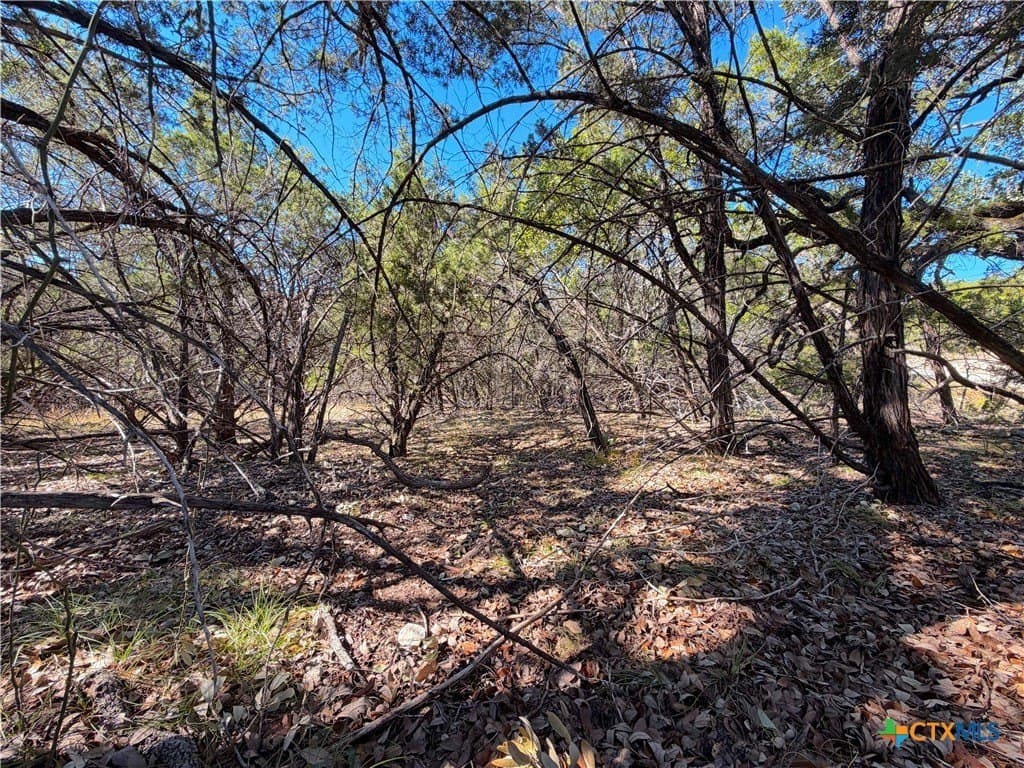 2.68 acres in Comal County - photo 18