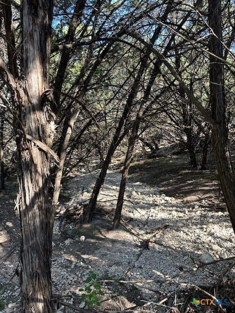 2.68 acres in Comal County - photo 25