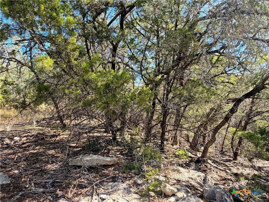 2.68 acres in Comal County - photo 11
