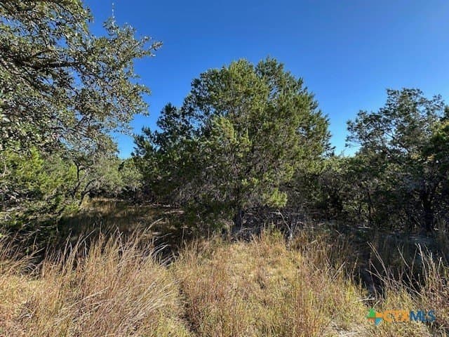 2.68 acres in Comal County - photo 21