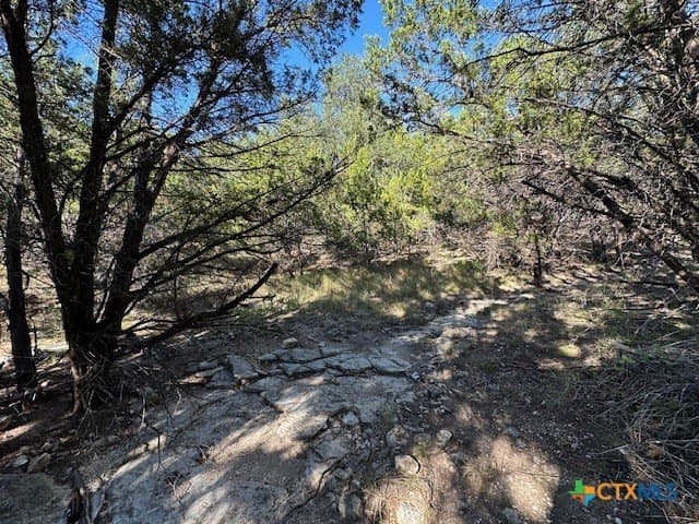 2.68 acres in Comal County - photo 22