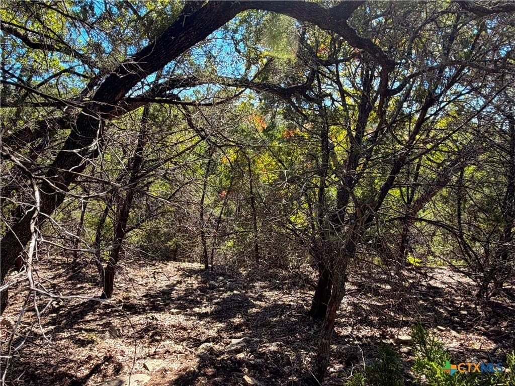 2.68 acres in Comal County - photo 13