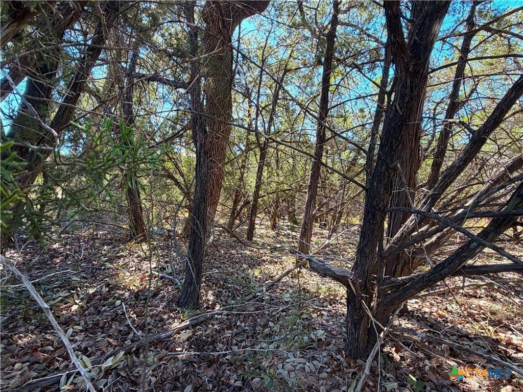 2.68 acres in Comal County - photo 19