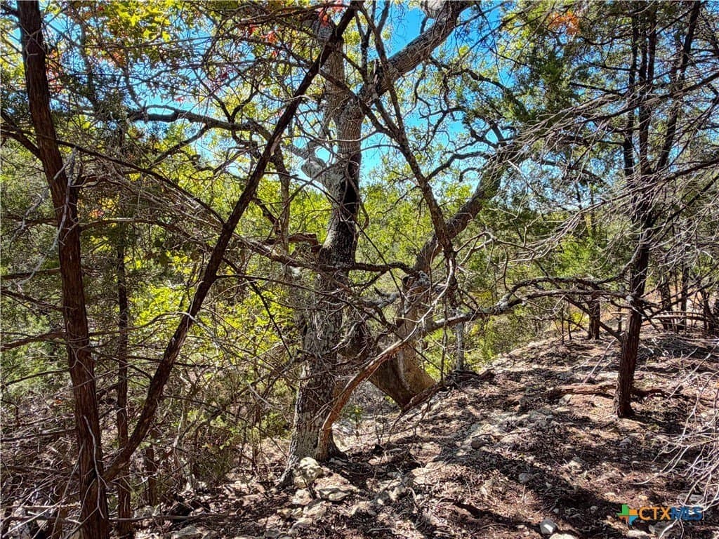 2.68 acres in Comal County - photo 14