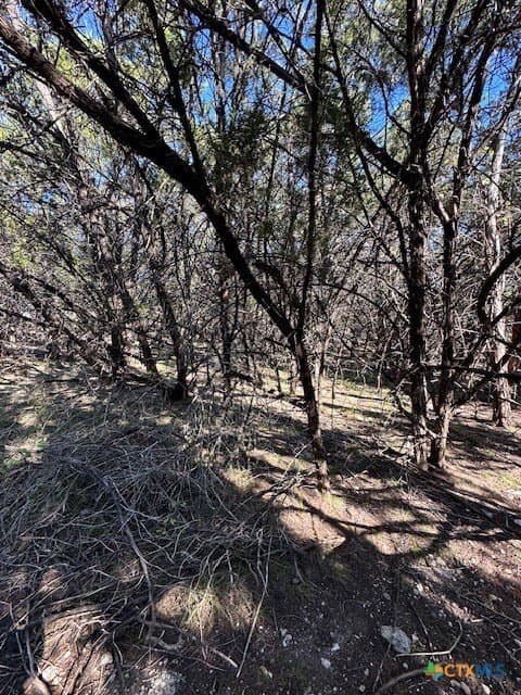 2.68 acres in Comal County - photo 24