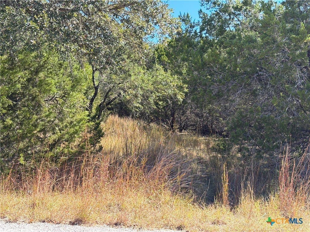 2.68 acres in Comal County - photo 10