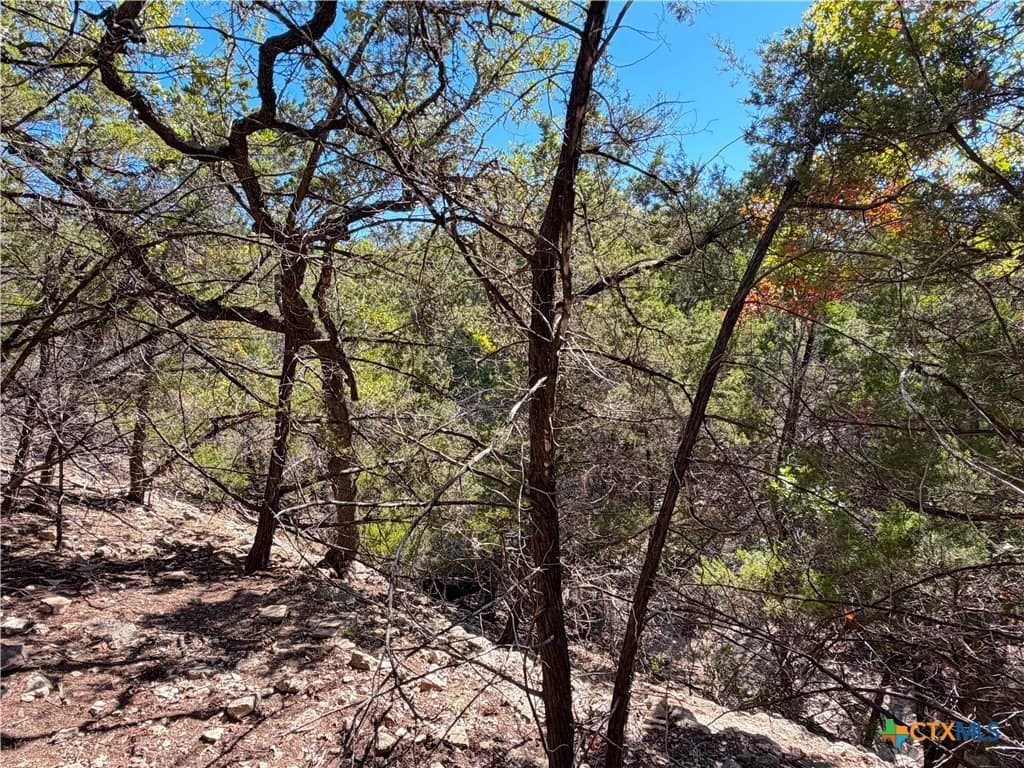 2.68 acres in Comal County - photo 15