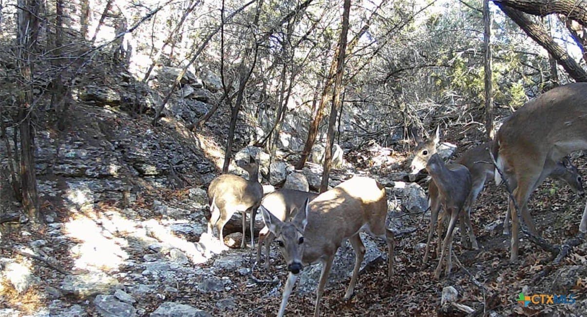 2.68 acres in Comal County - photo 7