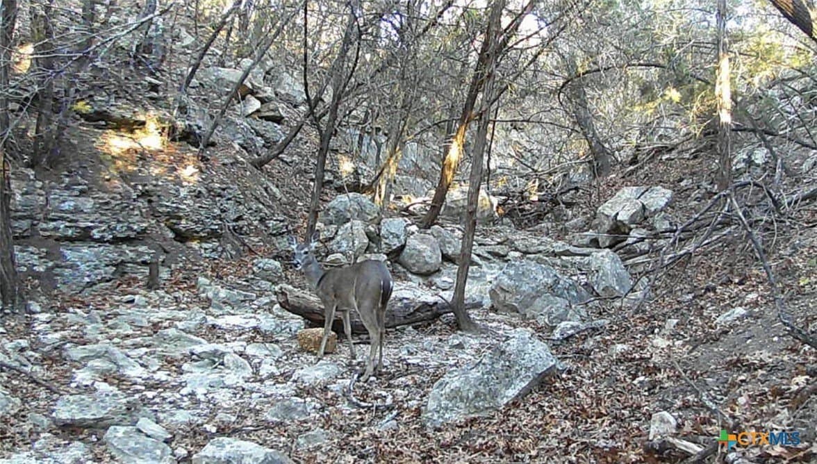 2.68 acres in Comal County - photo 8